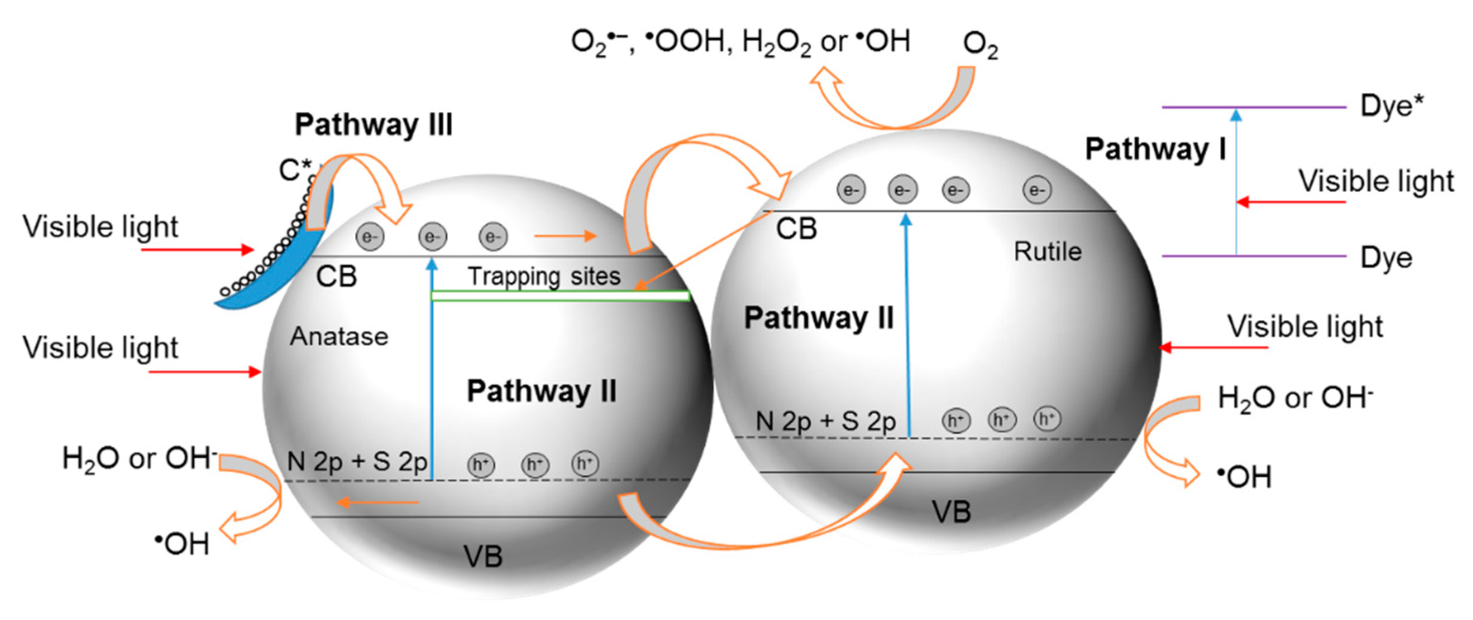 Catalysts 11 00144 g021