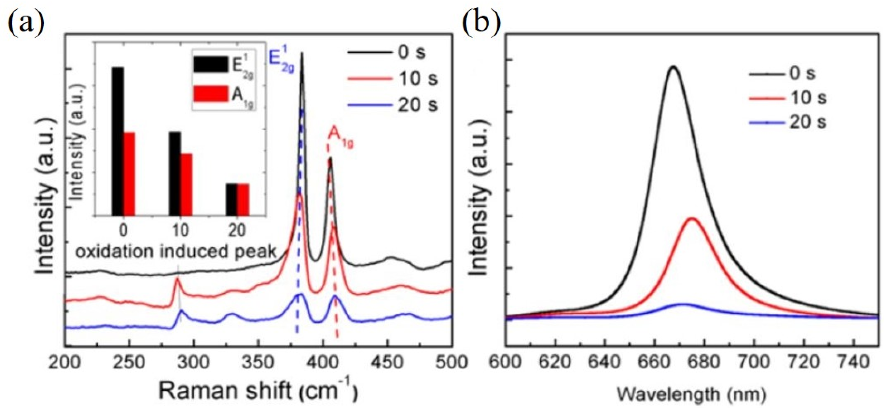 Catalysts 11 00151 g002 Catalysts 11 00151 g002