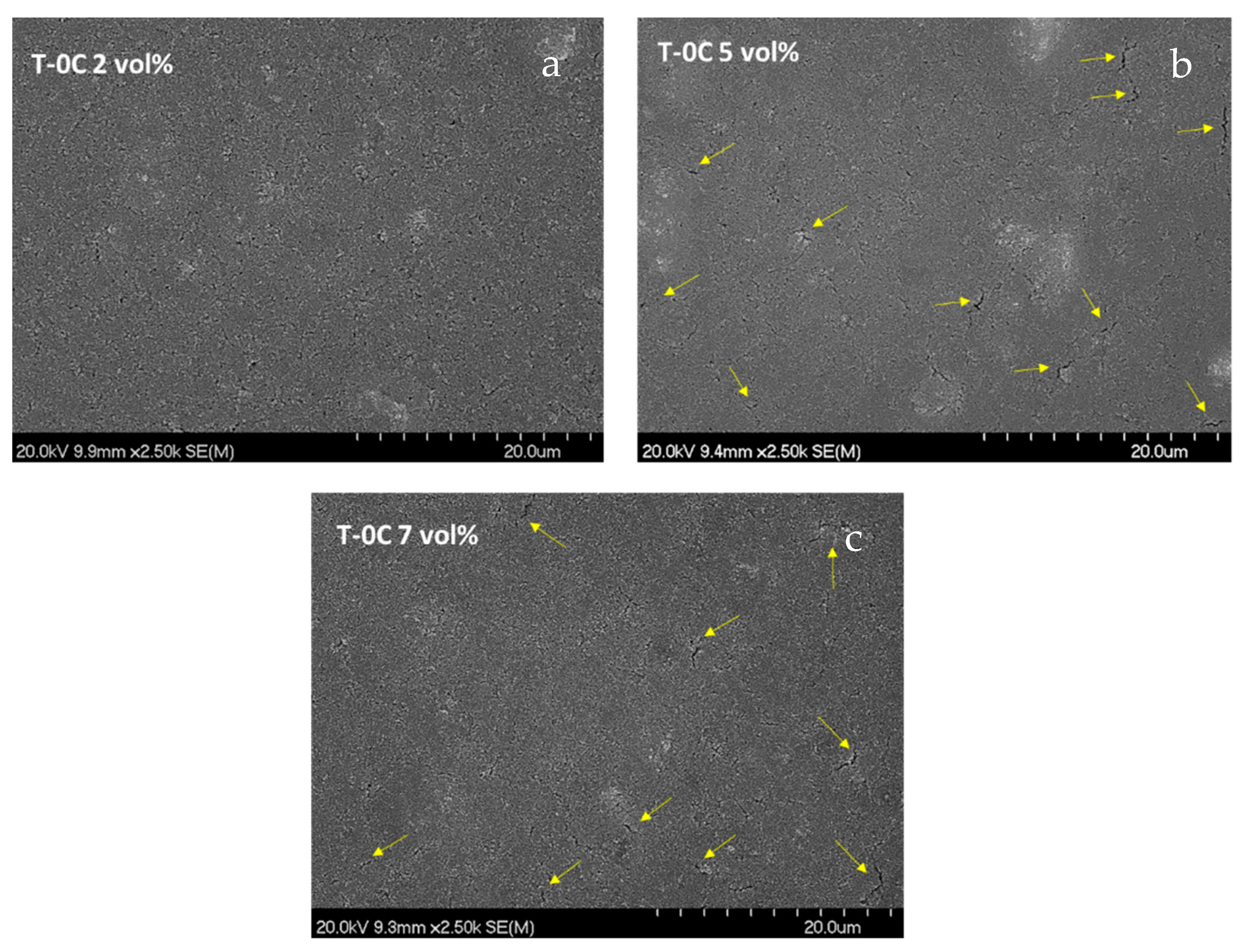 Catalysts 11 00156 g002