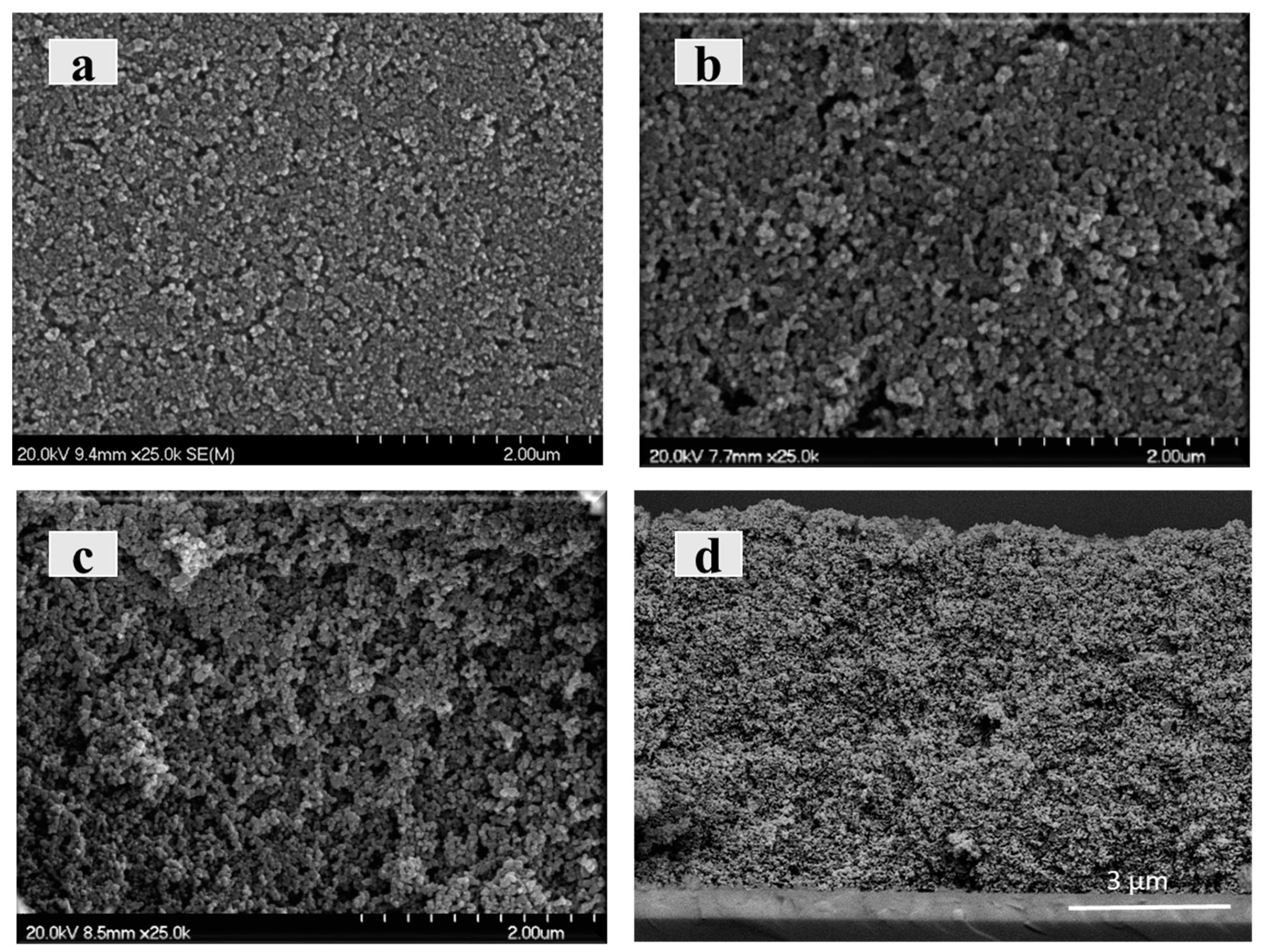 Catalysts 11 00156 g006