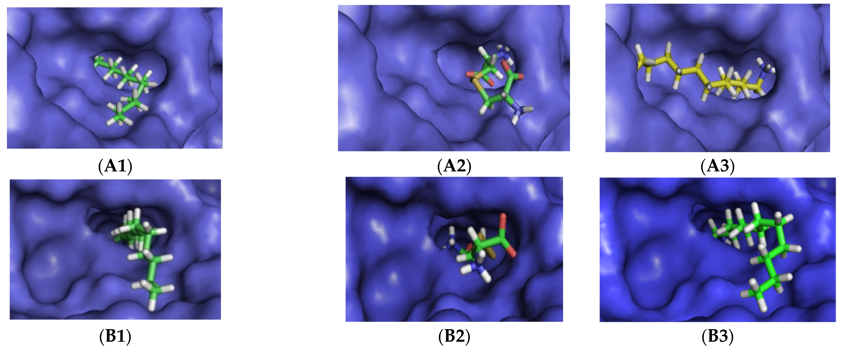 Catalysts 11 00164 g001a