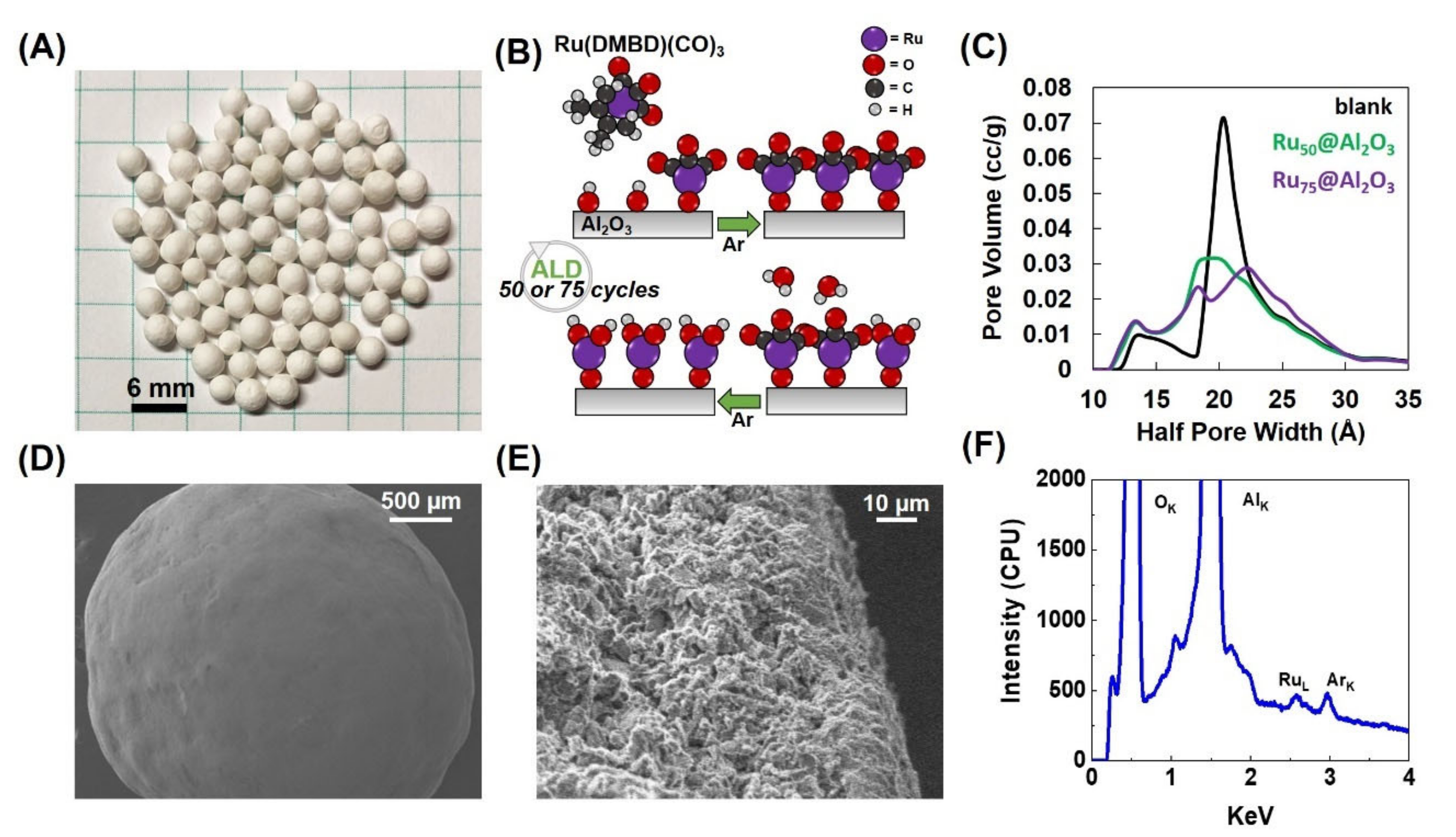 Catalysts 11 00165 g001 Catalysts 11 00165 g001