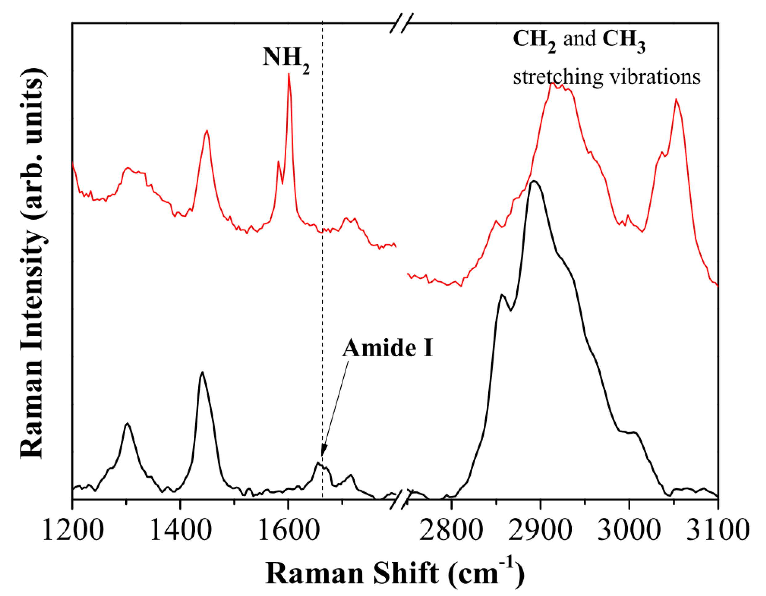 Catalysts 11 00167 g005