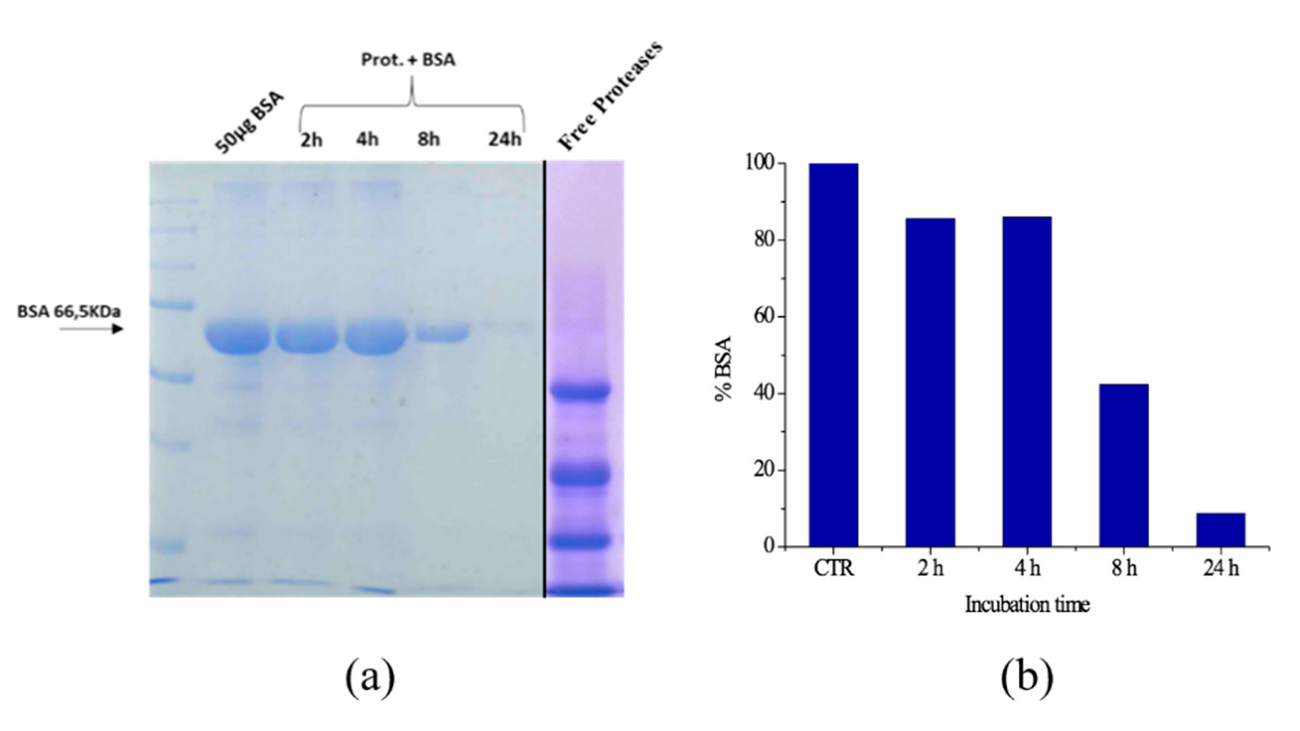 Catalysts 11 00167 g009