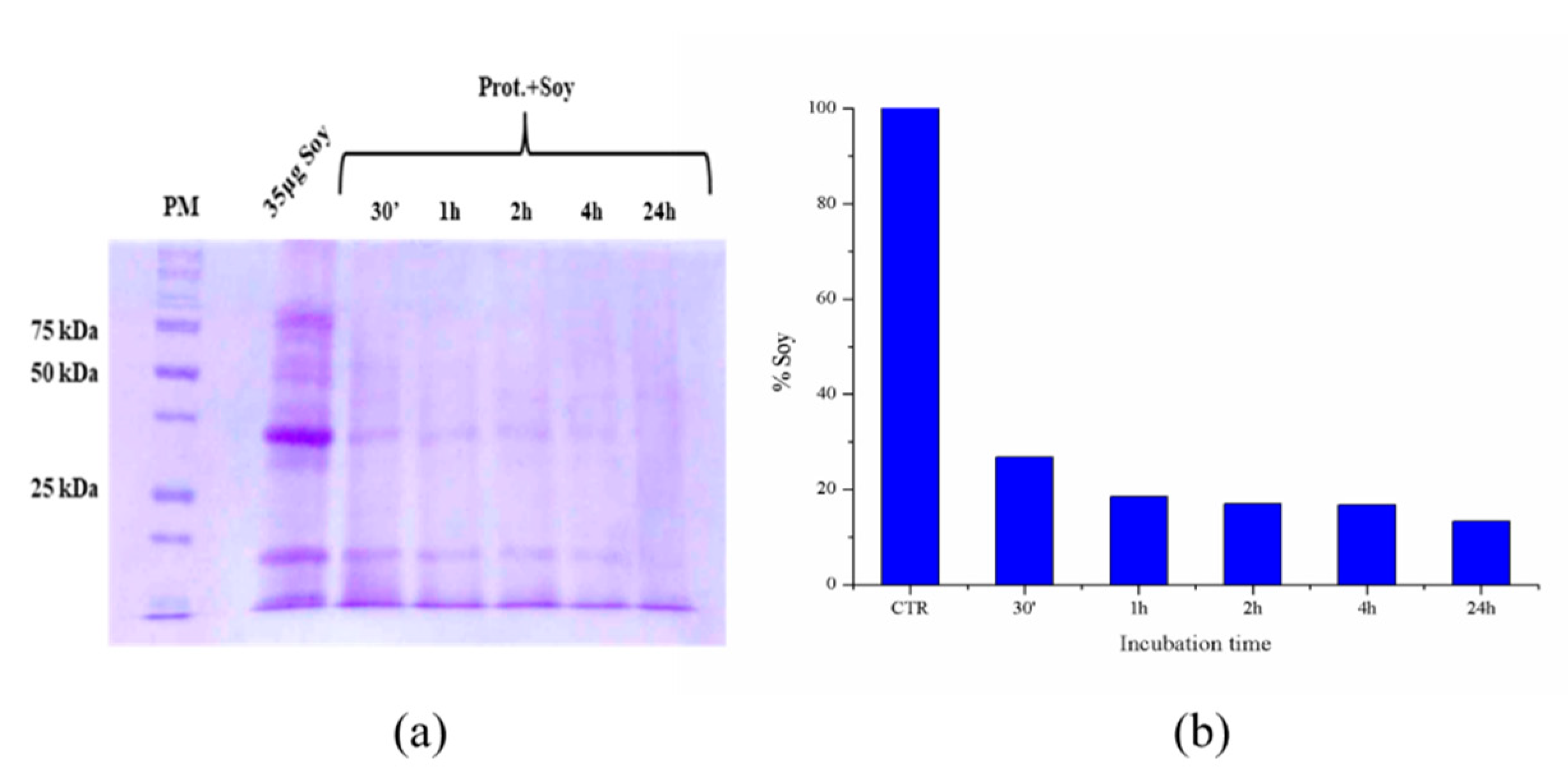 Catalysts 11 00167 g011