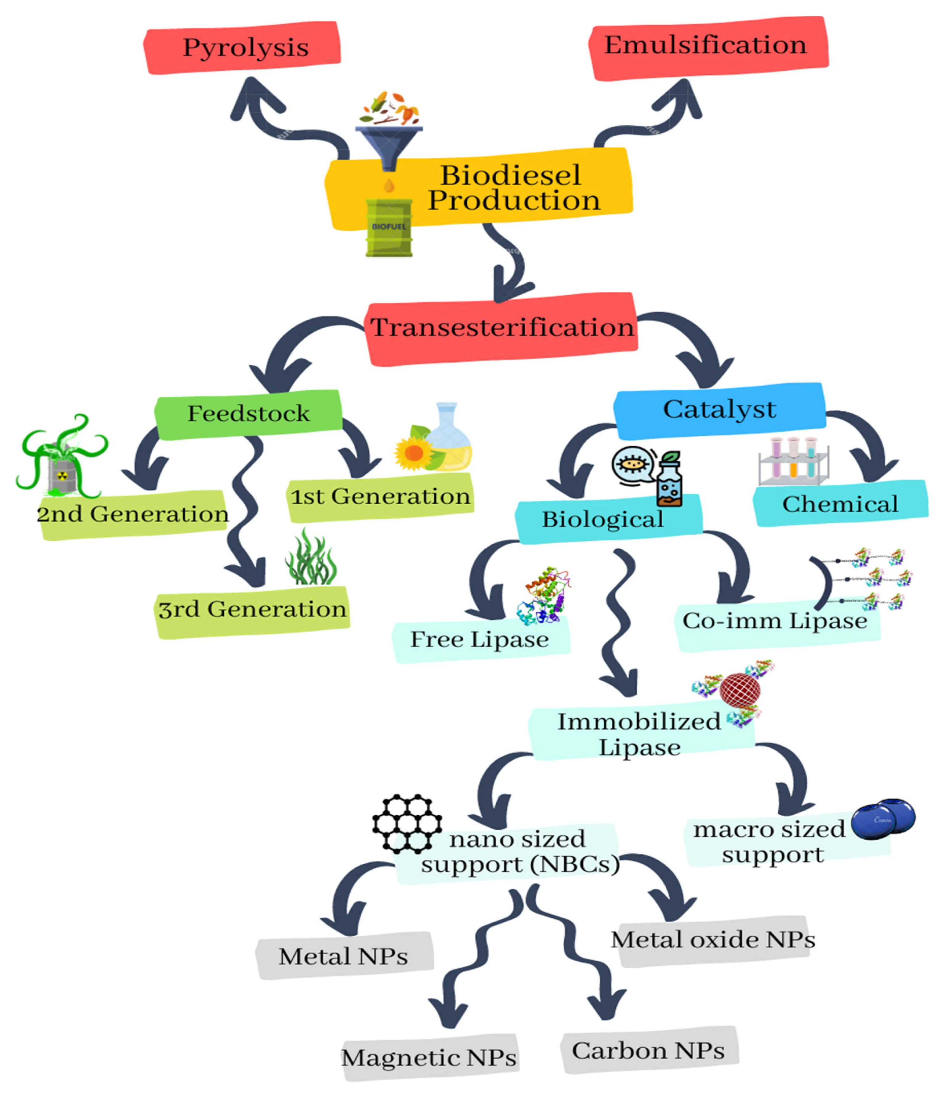 Catalysts 11 00171 g002