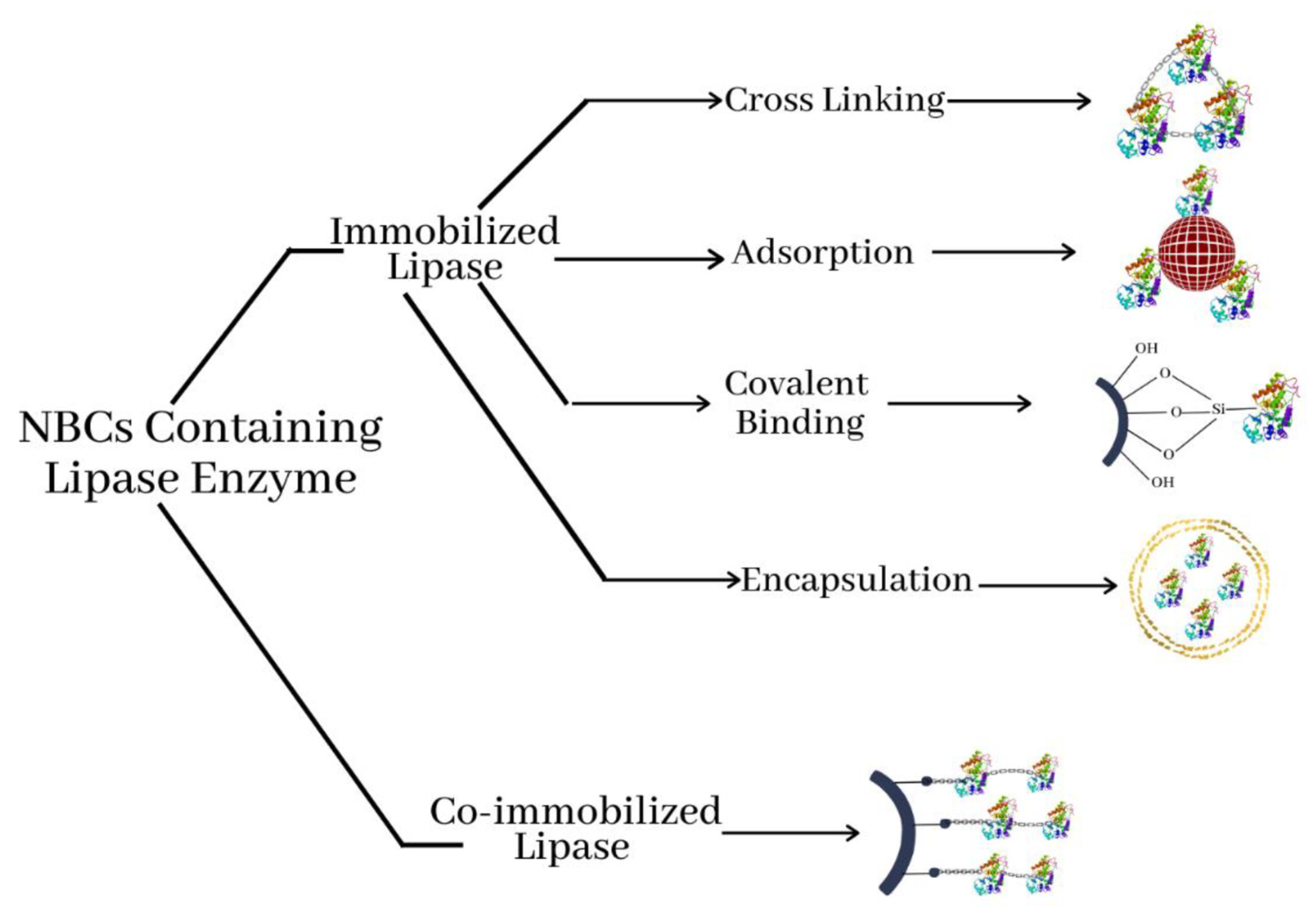 Catalysts 11 00171 g003