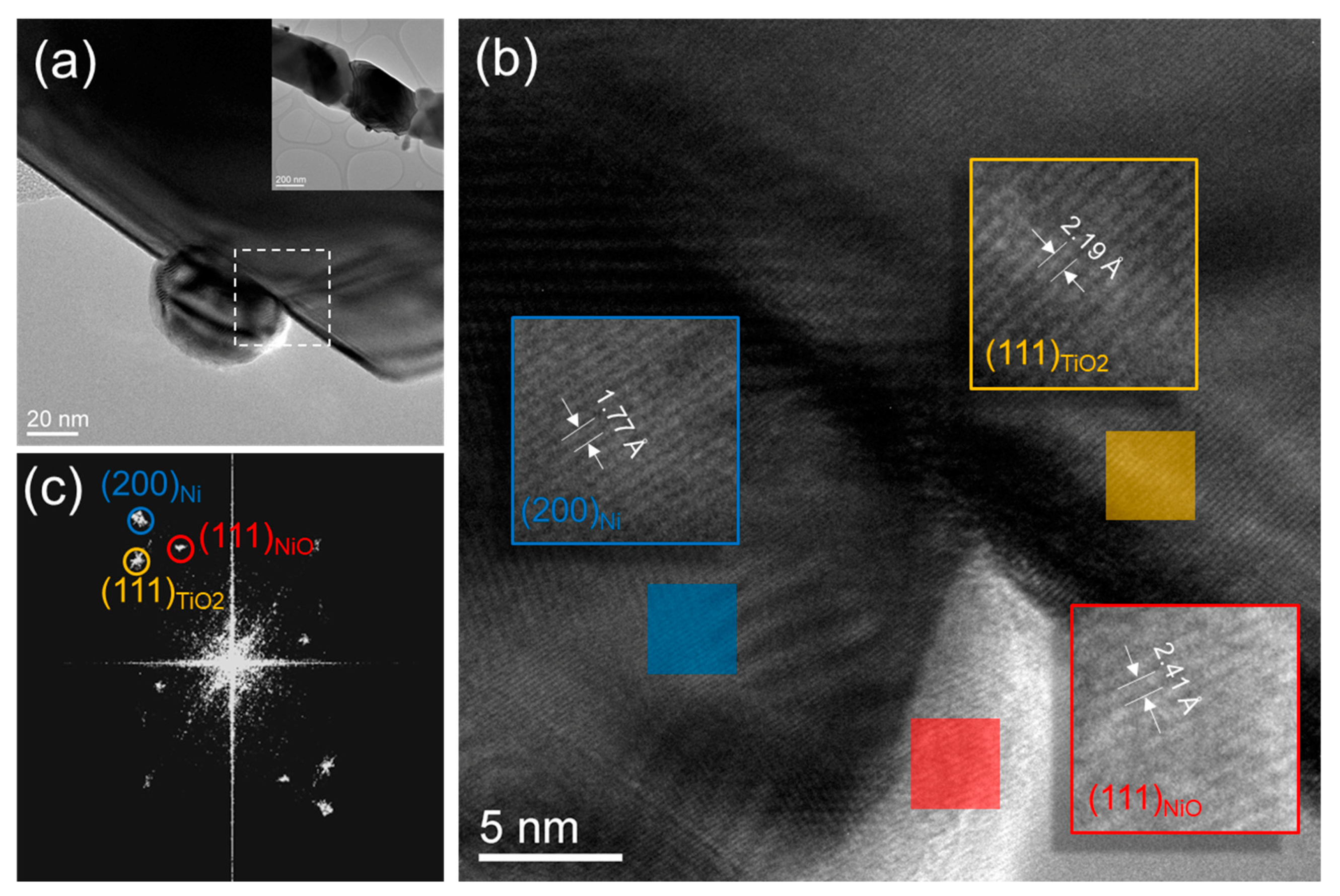 Catalysts 11 00175 g008