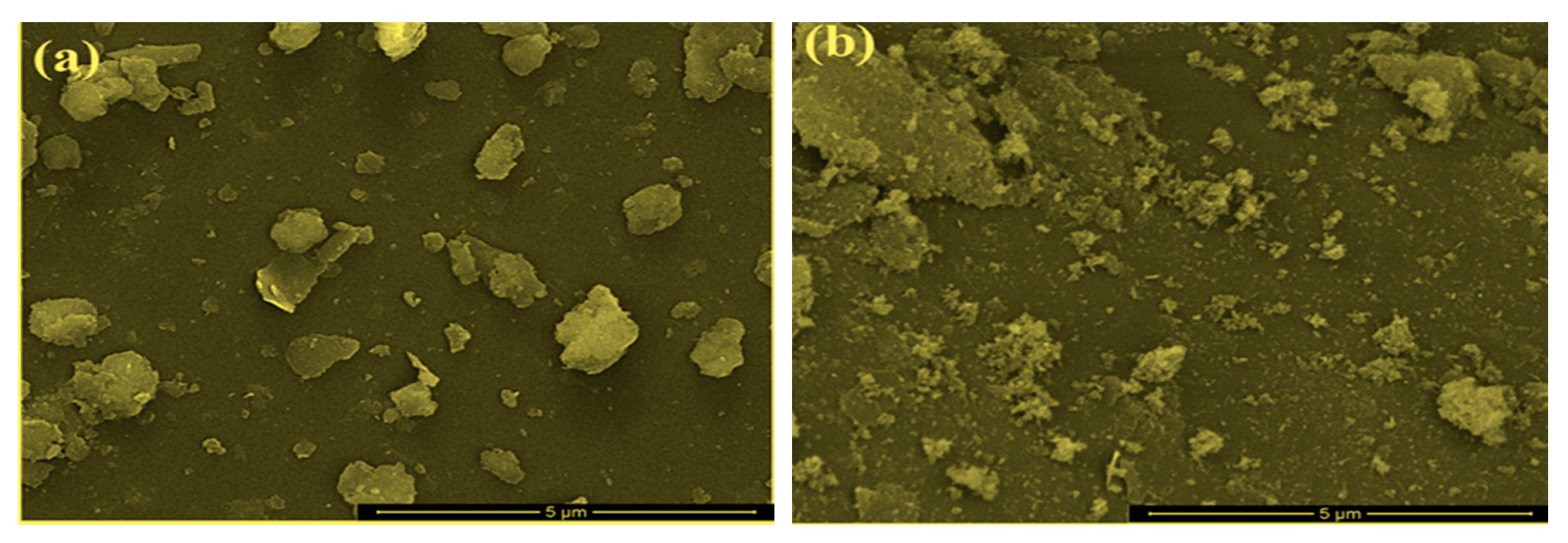 Catalysts 11 00177 g002a Catalysts 11 00177 g002a