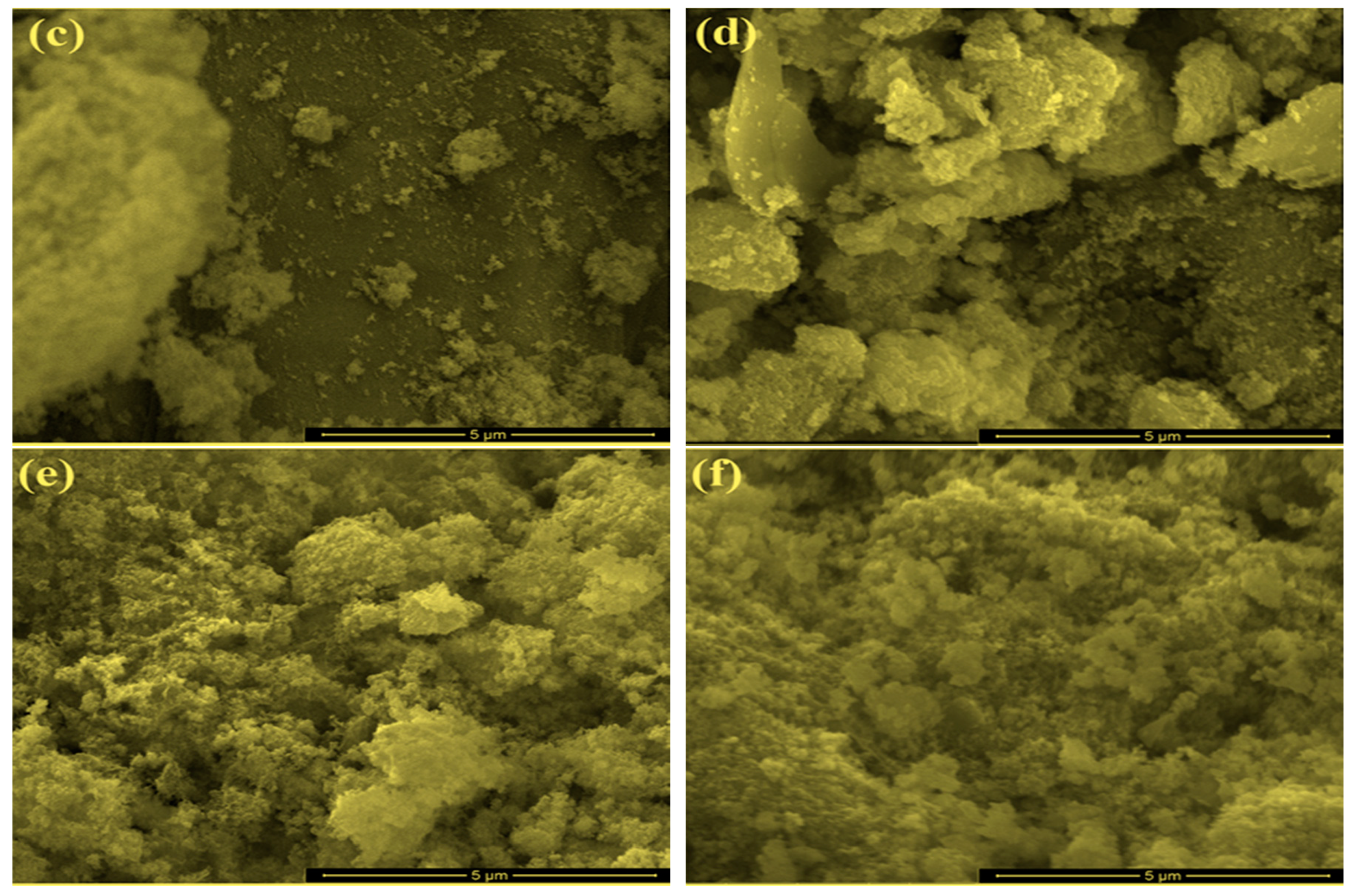 Catalysts 11 00177 g002b Catalysts 11 00177 g002b