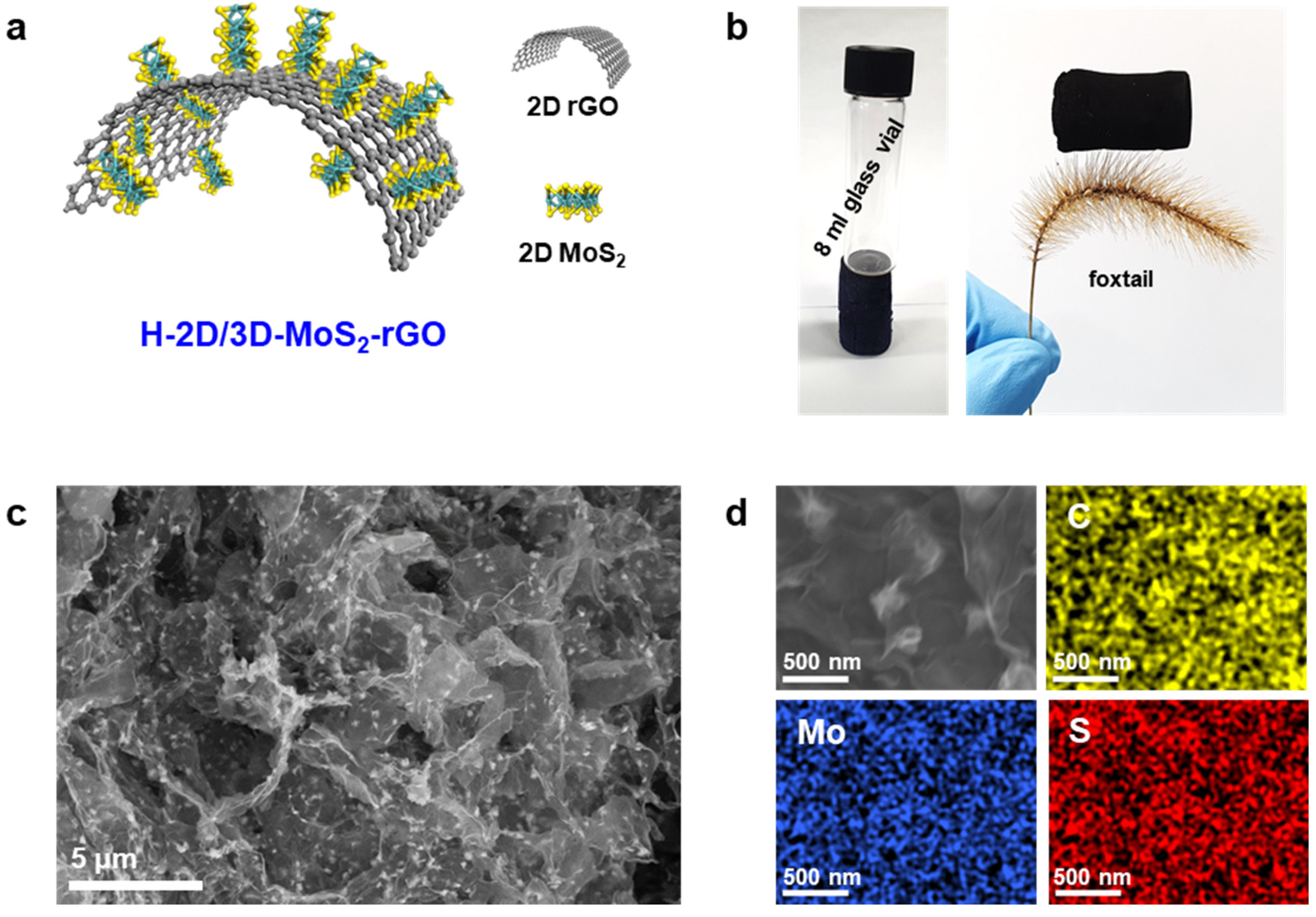 Catalysts 11 00182 g002 Catalysts 11 00182 g002