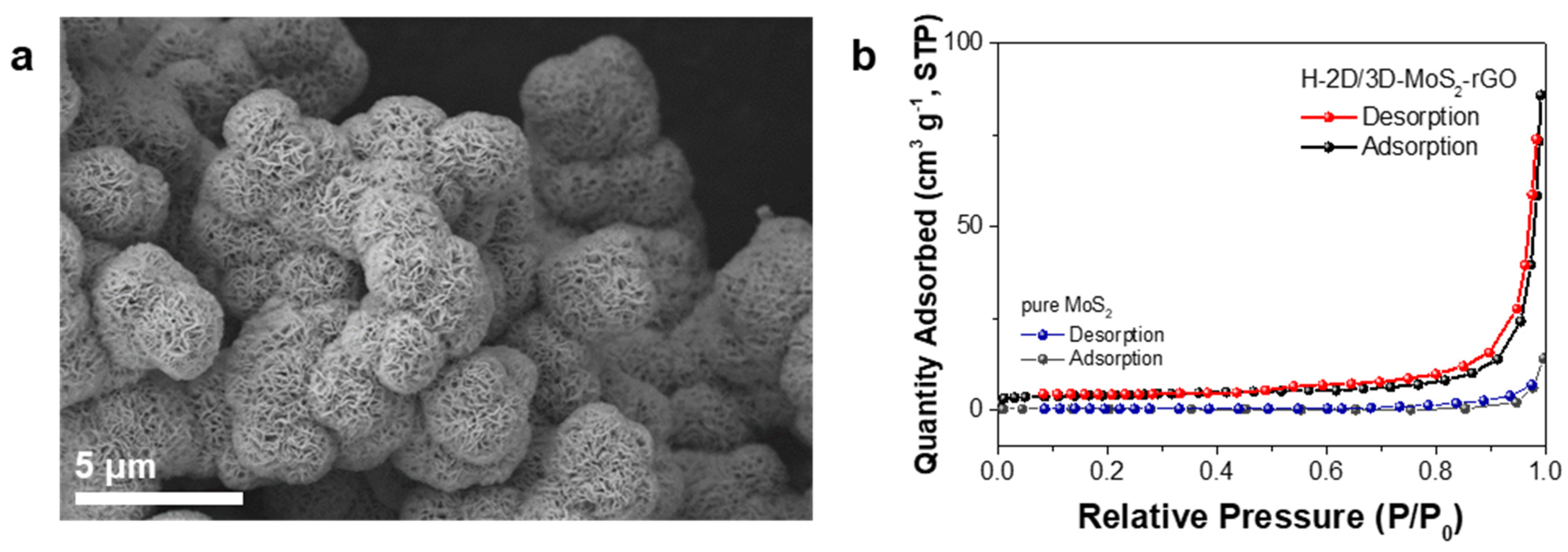Catalysts 11 00182 g003 Catalysts 11 00182 g003