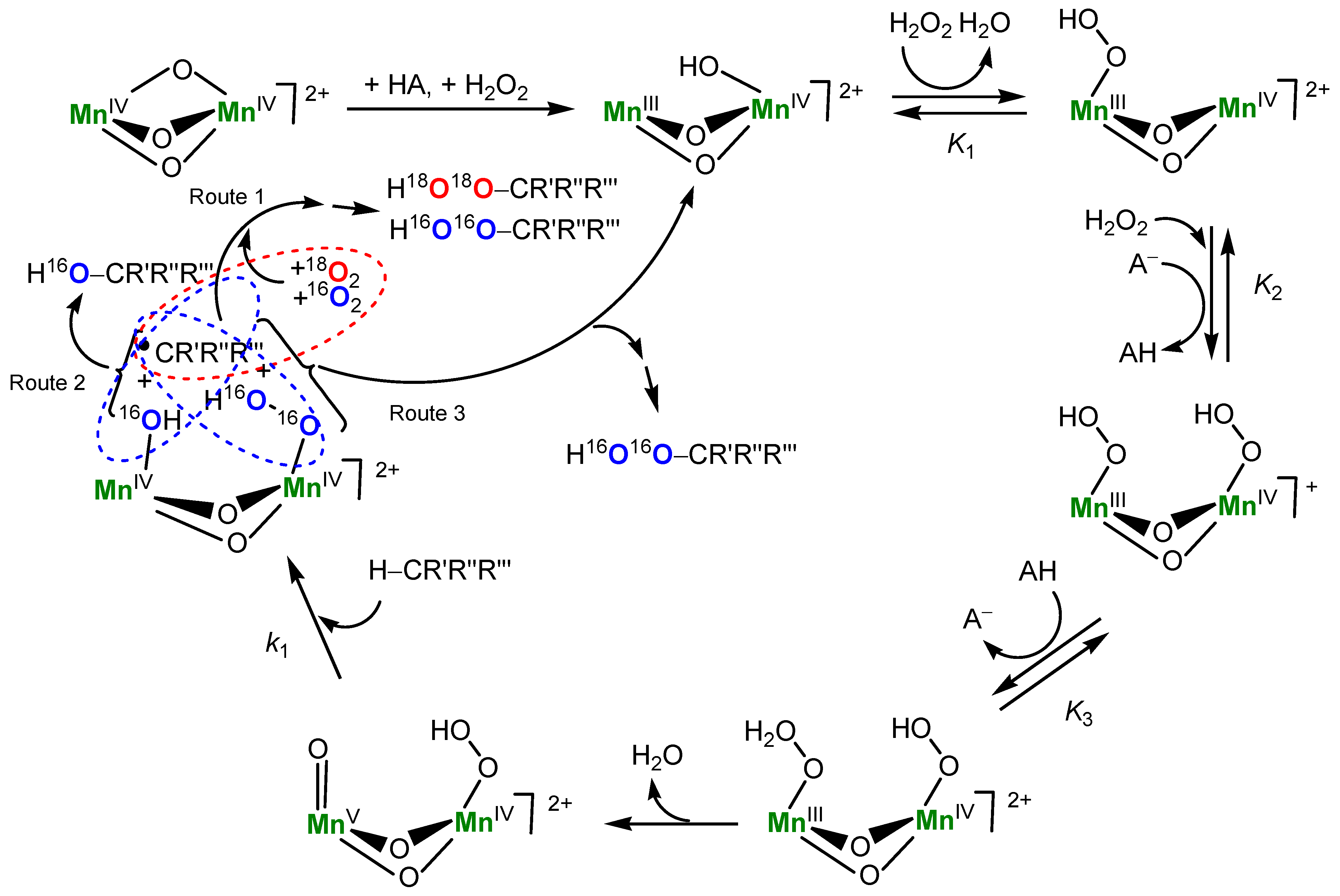 Catalysts 11 00186 g020 Catalysts 11 00186 g020