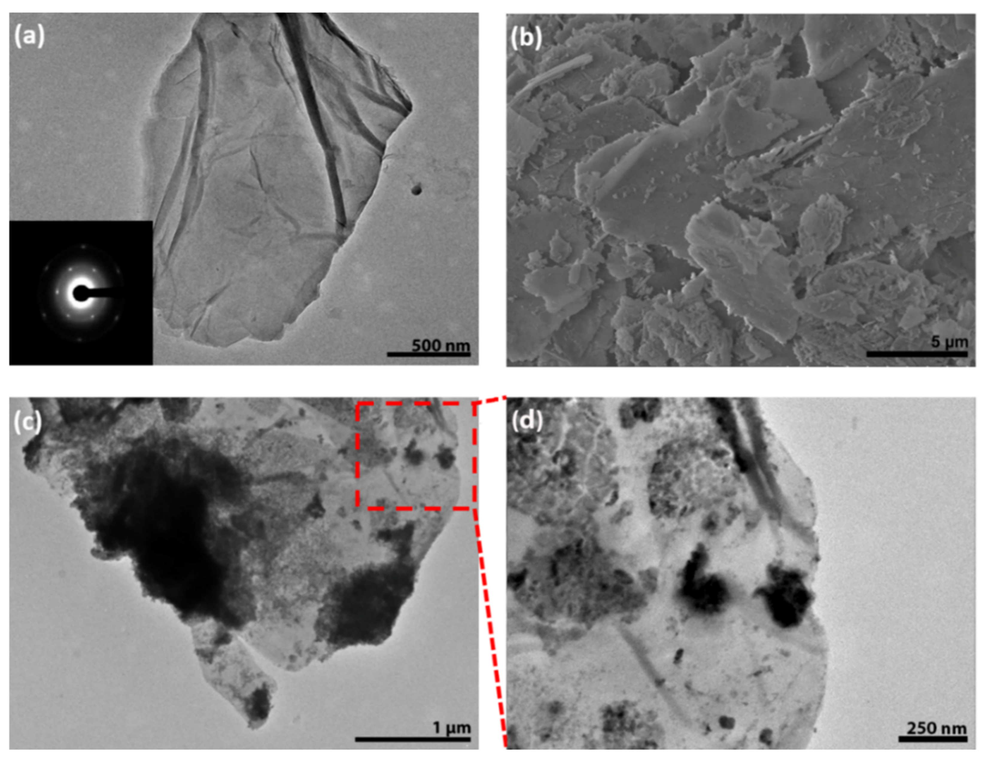 Catalysts 11 00187 g001 Catalysts 11 00187 g001