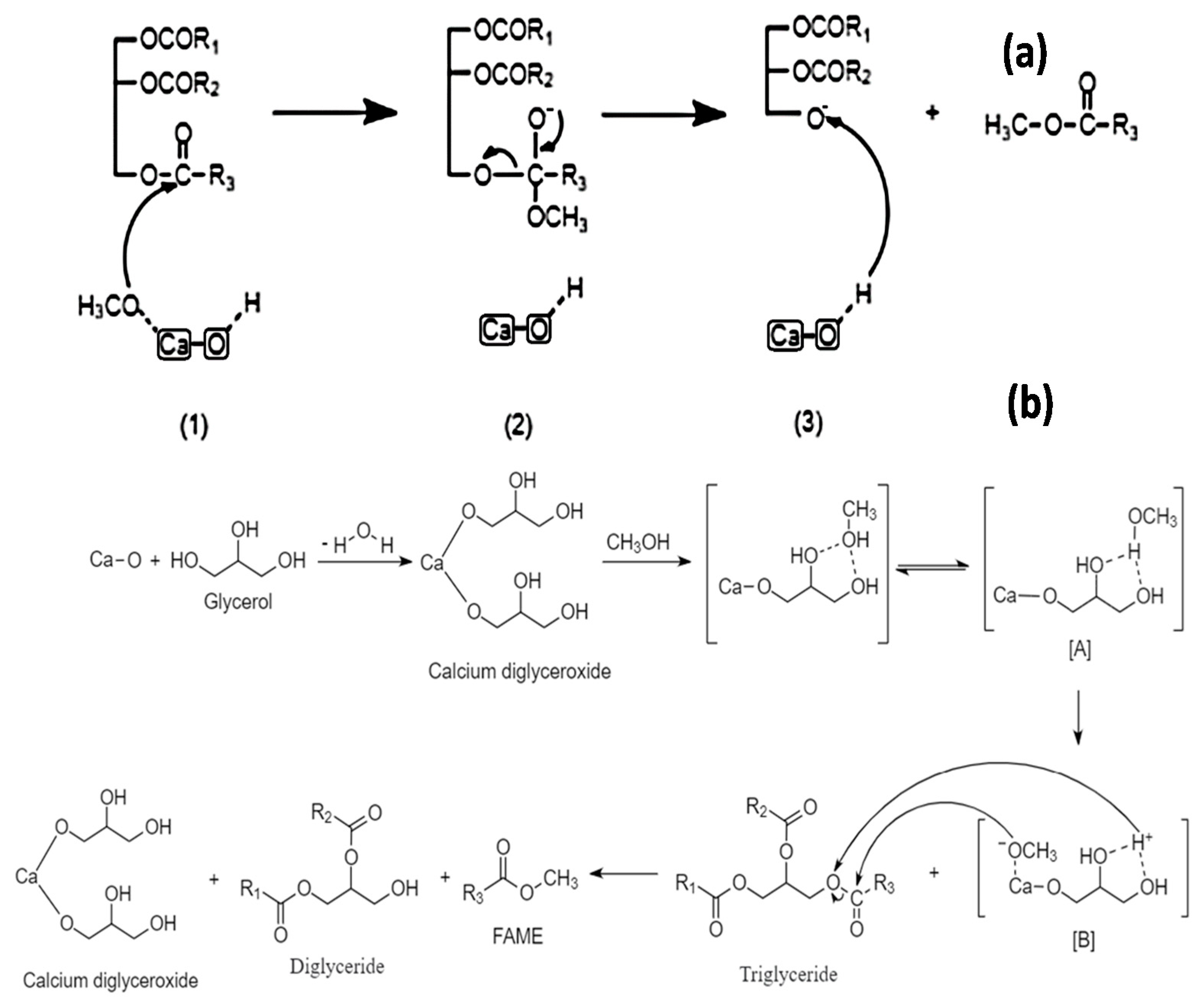 Catalysts 11 00194 g004