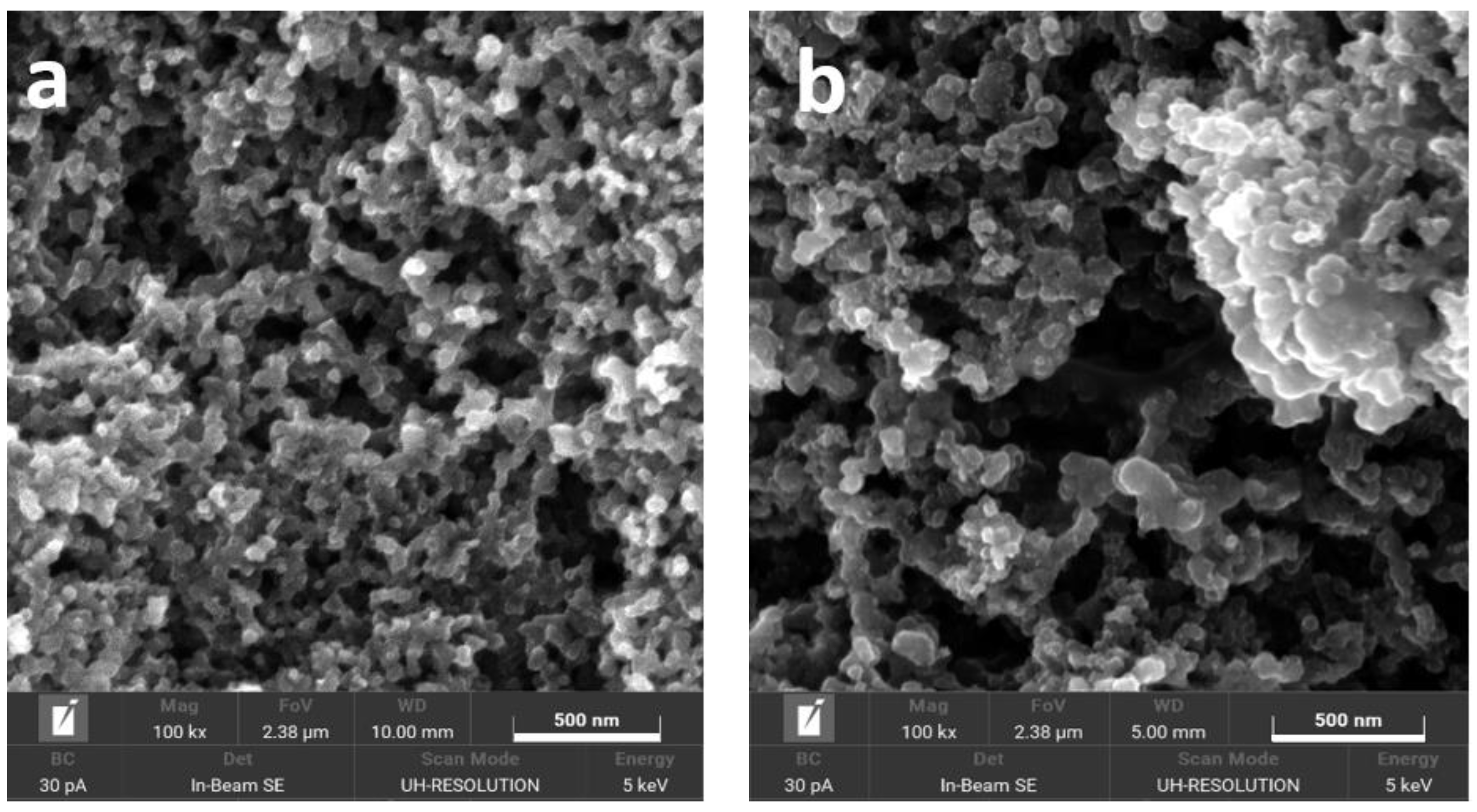 Catalysts 11 00195 g007a