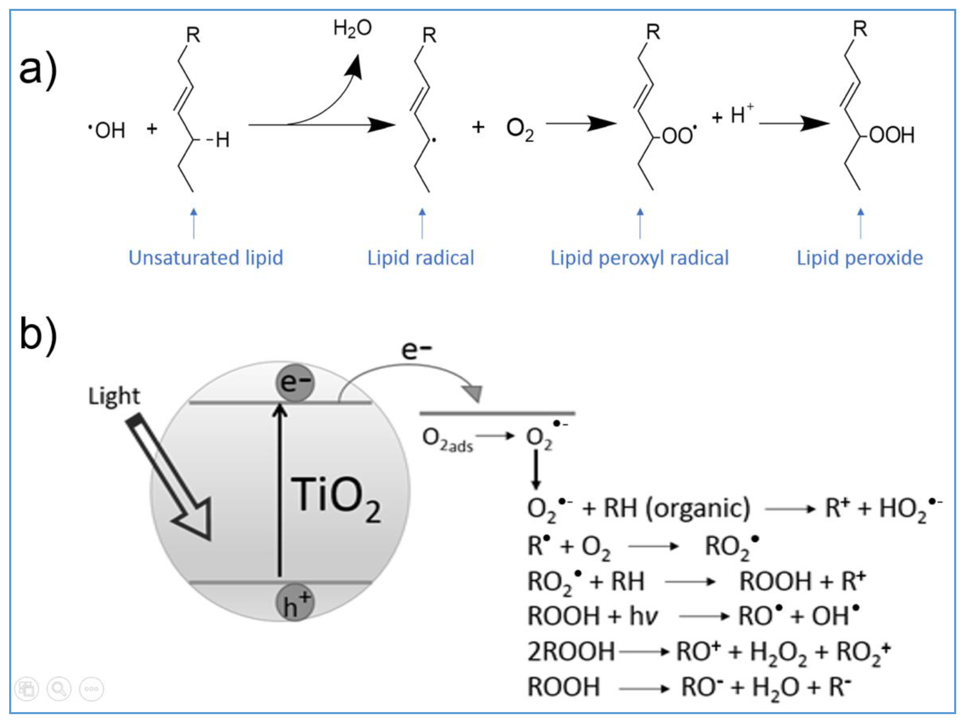 Catalysts 11 00201 g001