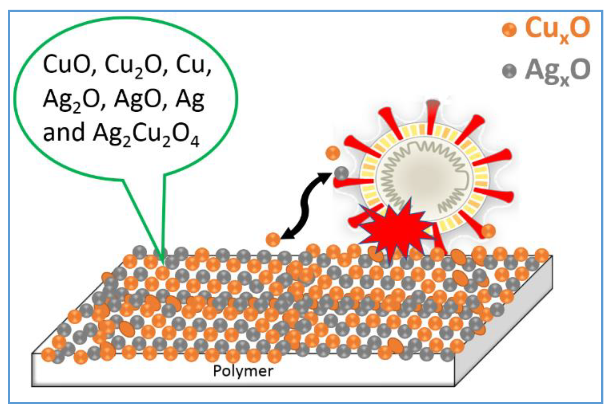 Catalysts 11 00201 g005