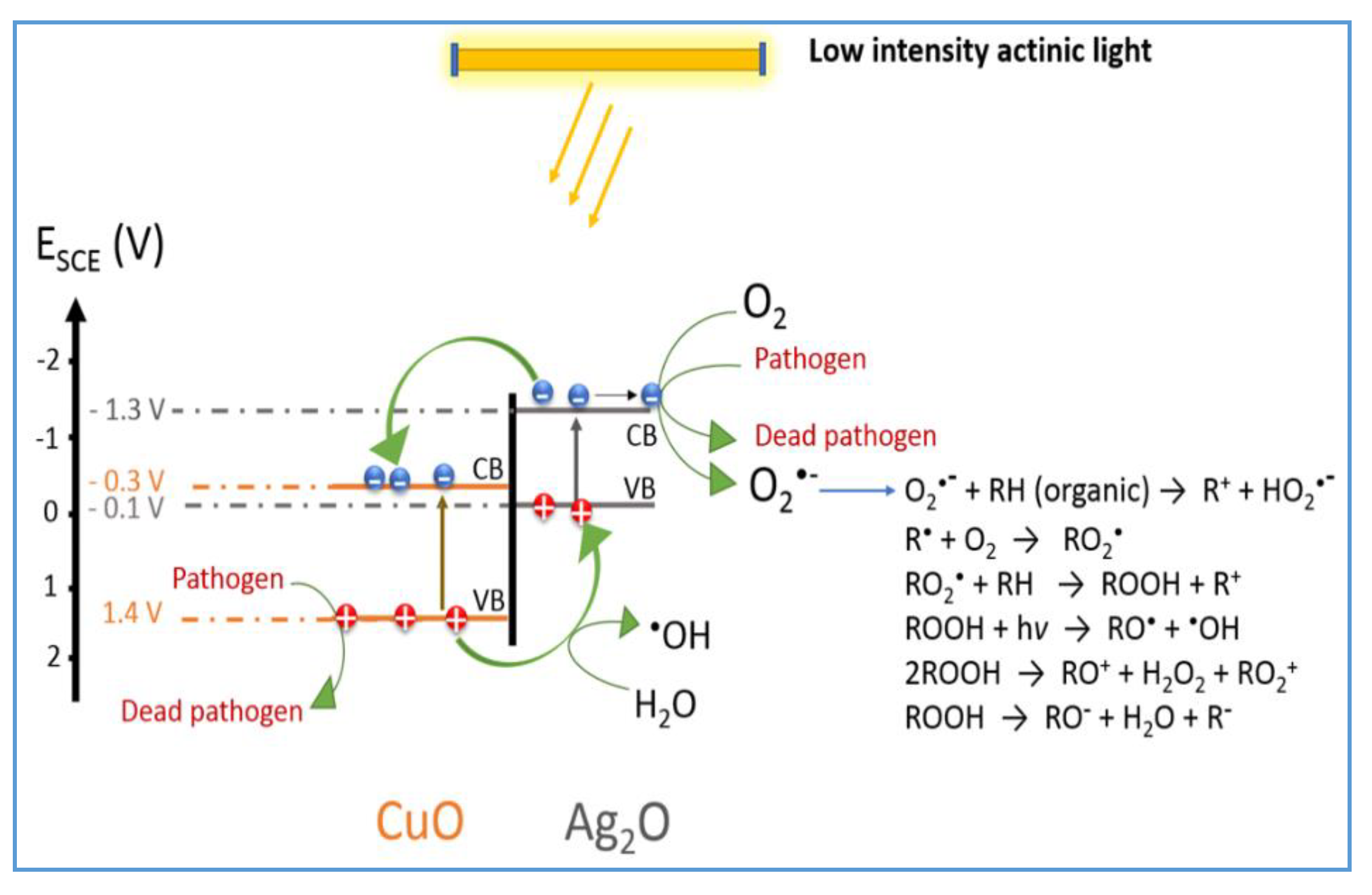 Catalysts 11 00201 g006