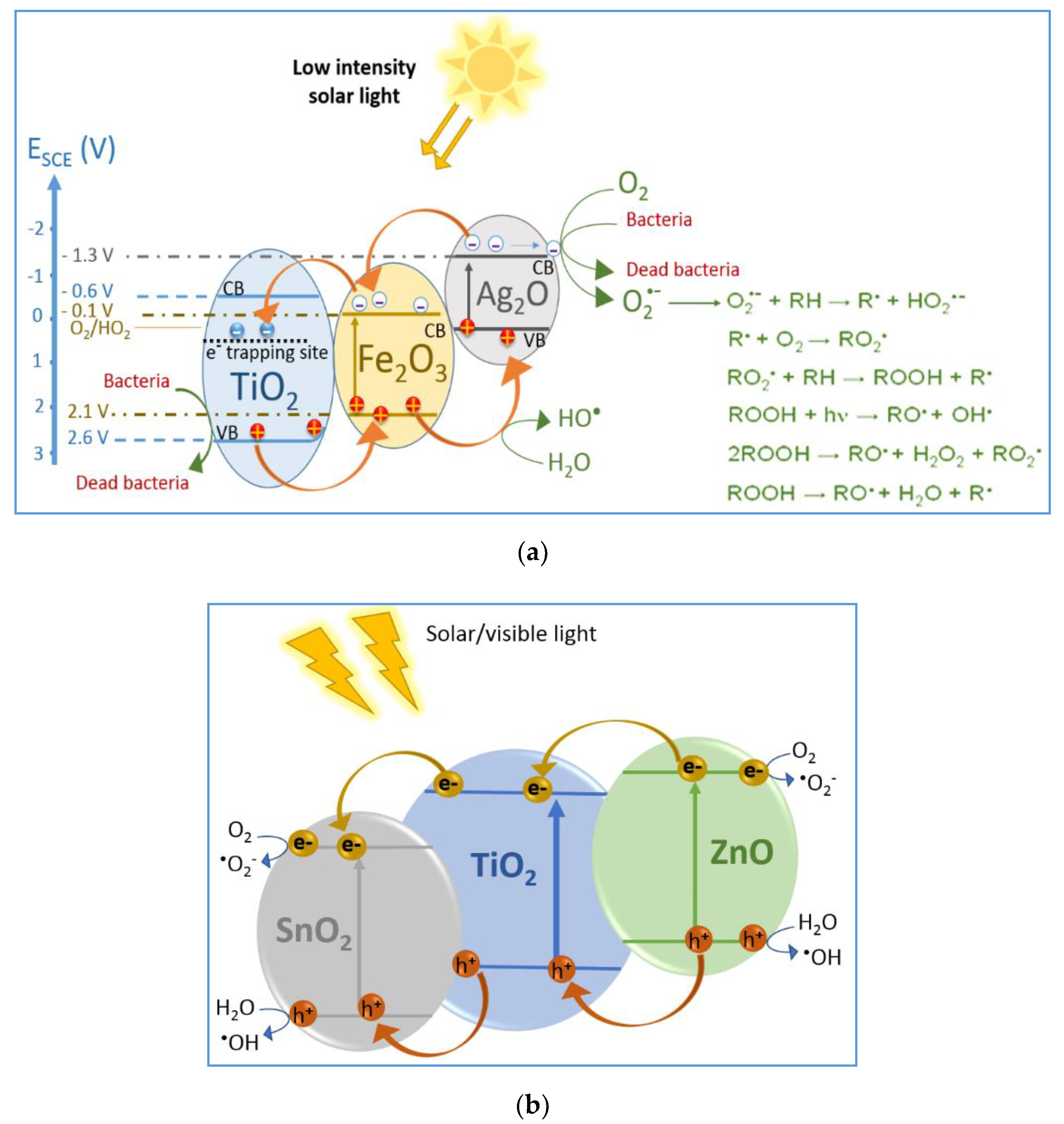 Catalysts Free Full Text Update On Interfacial Charge Transfer Iftc Processes On Films Inactivating Viruses Bacteria Under Visible Light Mechanistic Considerations And Critical Issues Html