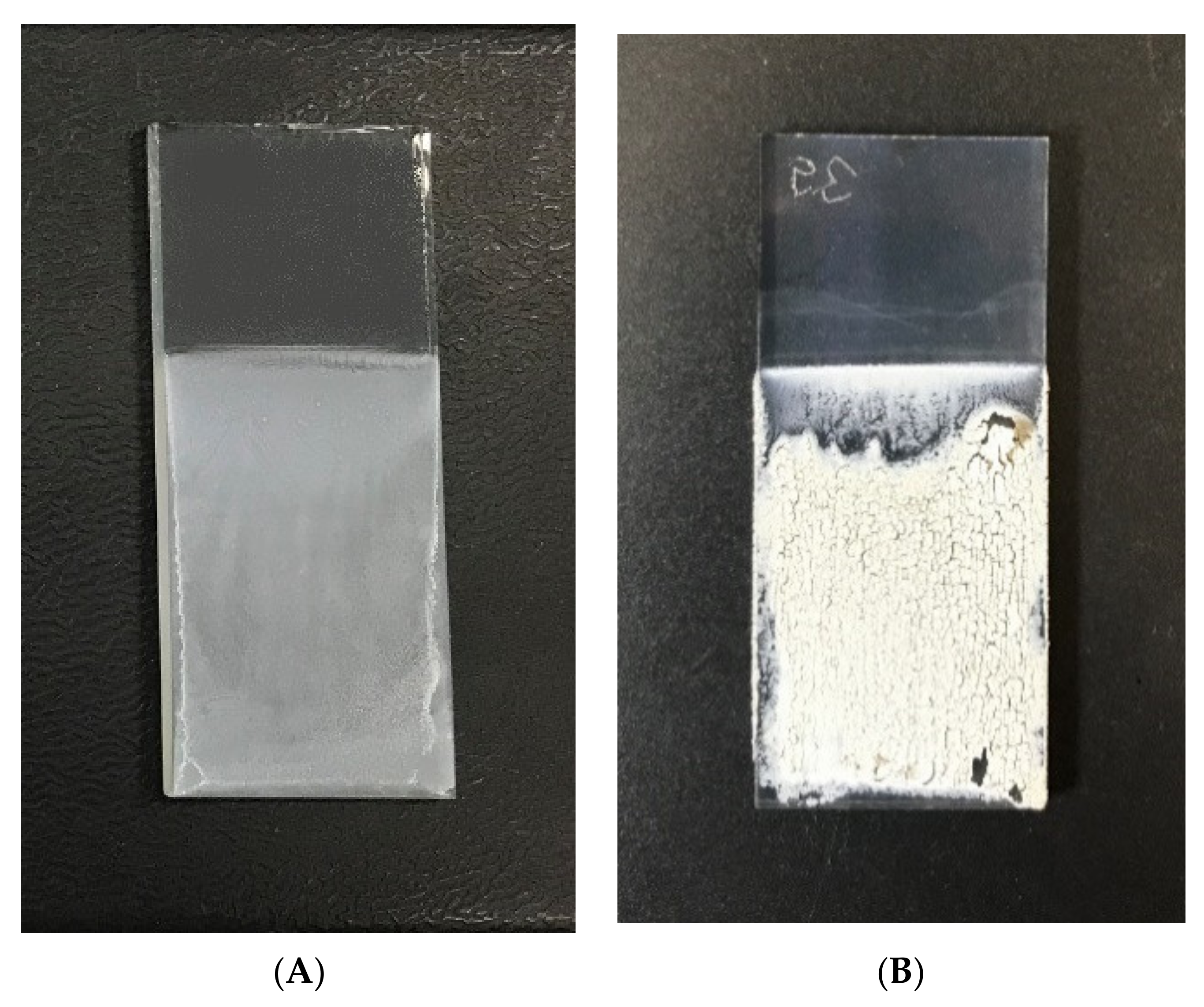 Catalysts 11 00203 g002 Catalysts 11 00203 g002