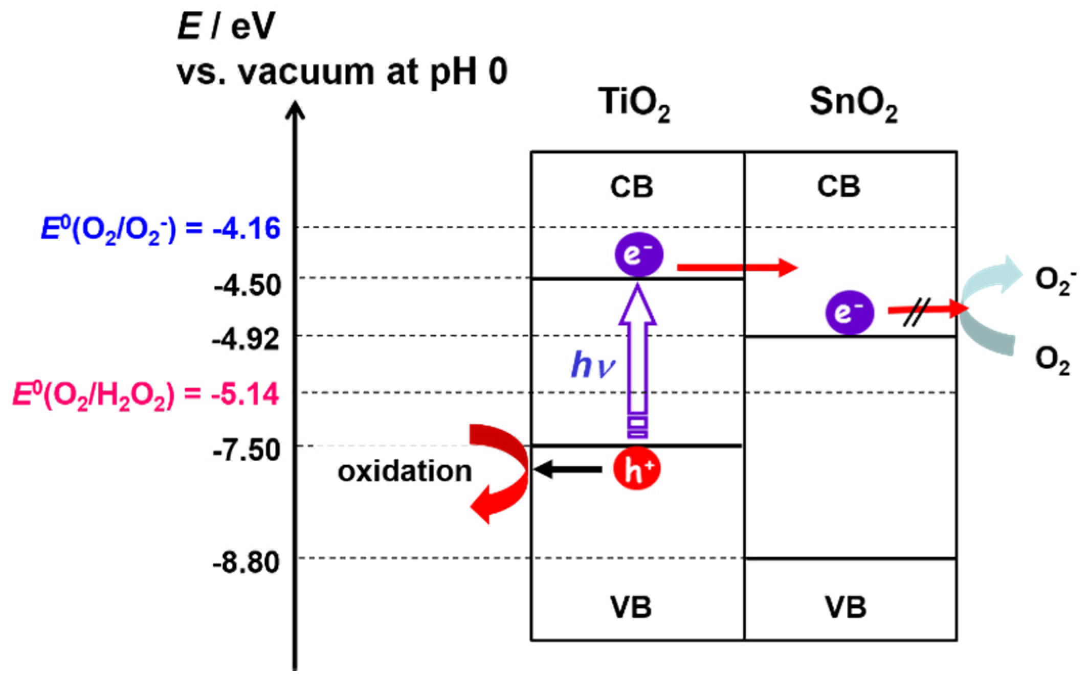 Catalysts 11 00205 sch001