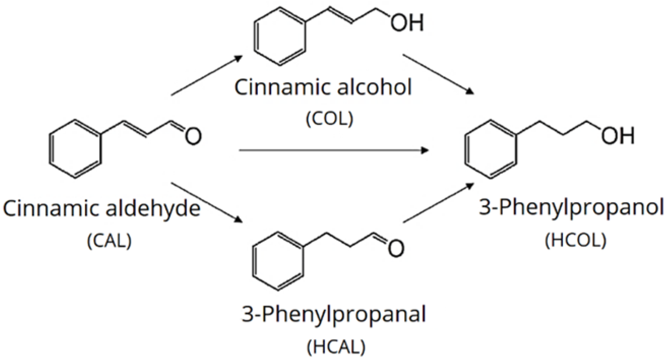 Catalysts 11 00207 g001 Catalysts 11 00207 g001