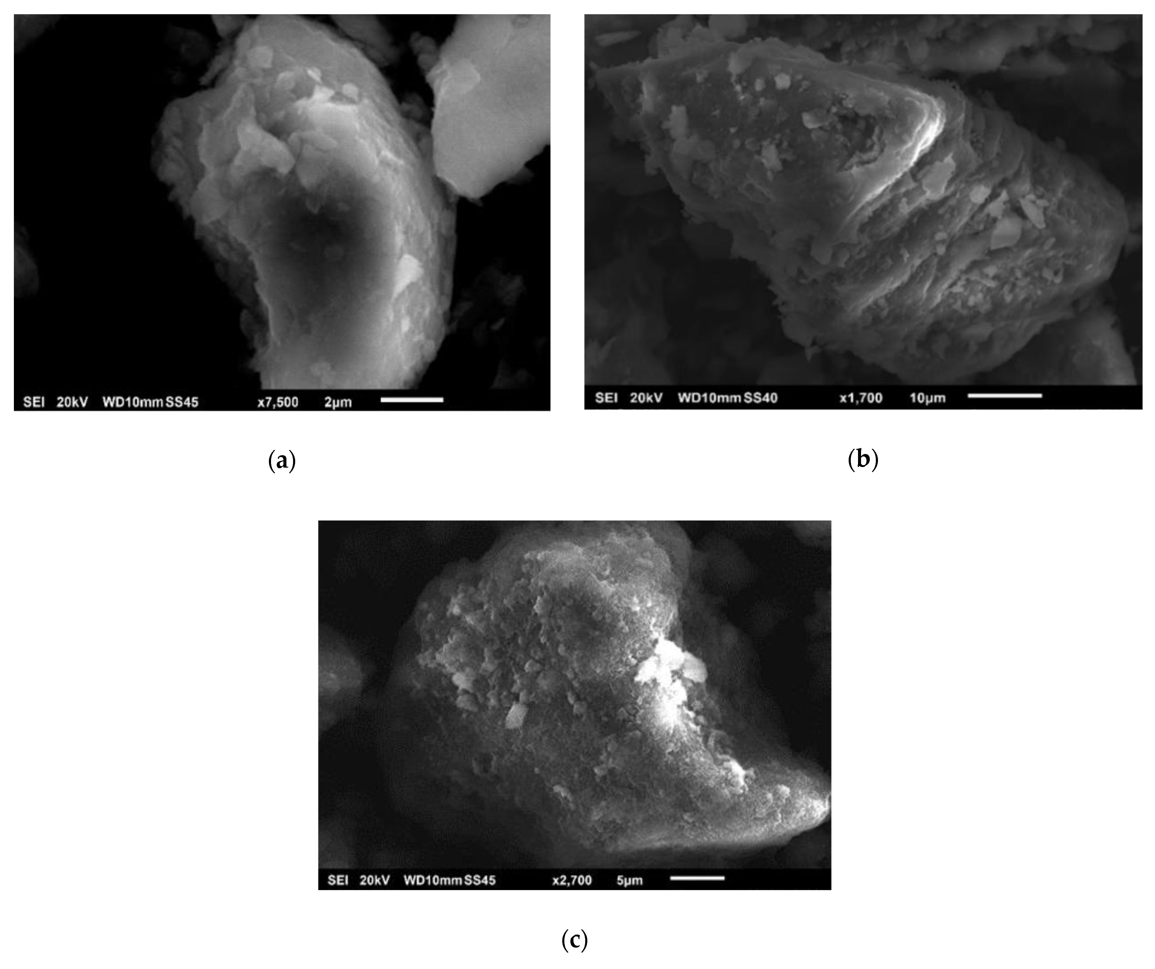 Catalysts 11 00211 g006