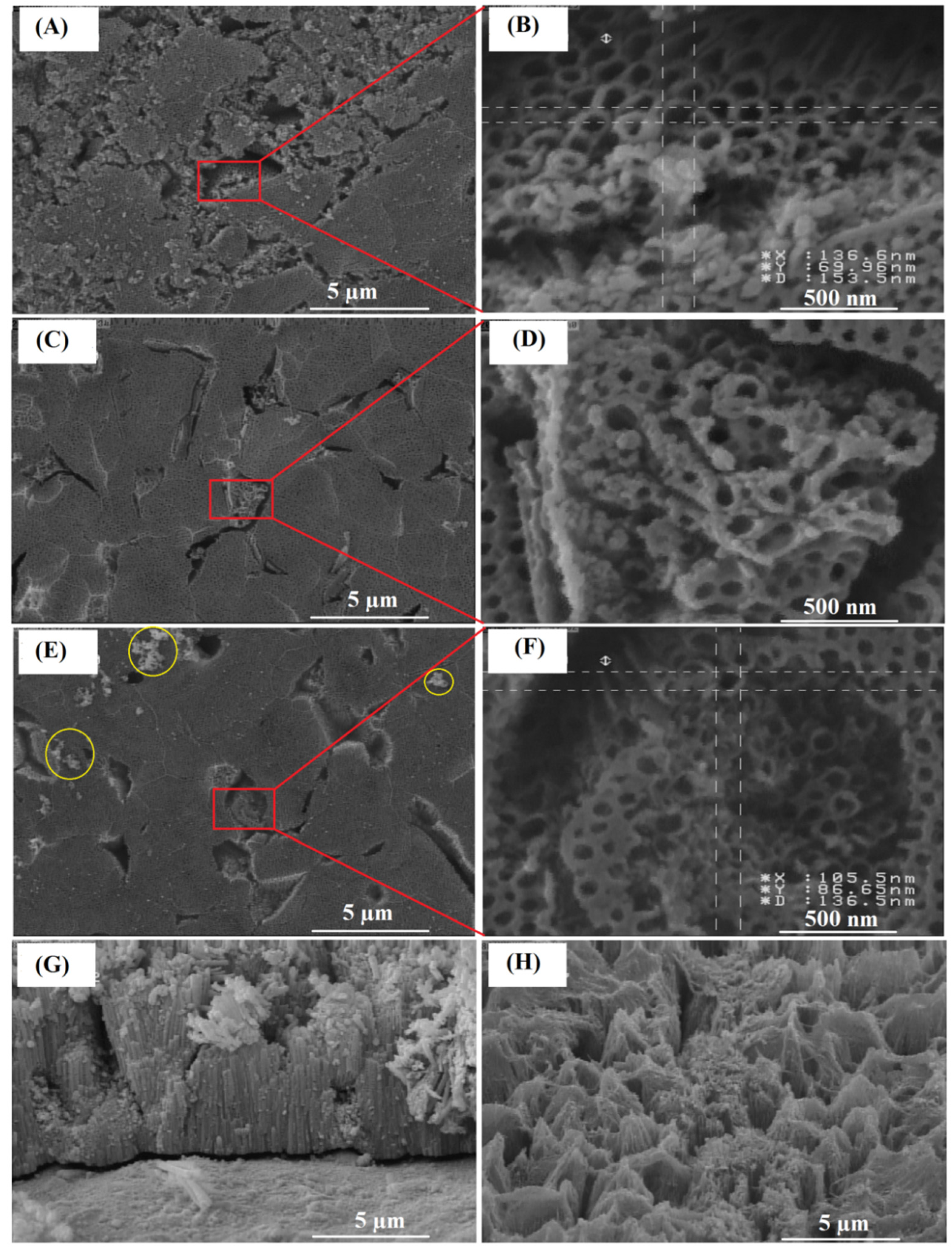 Catalysts 11 00212 g002