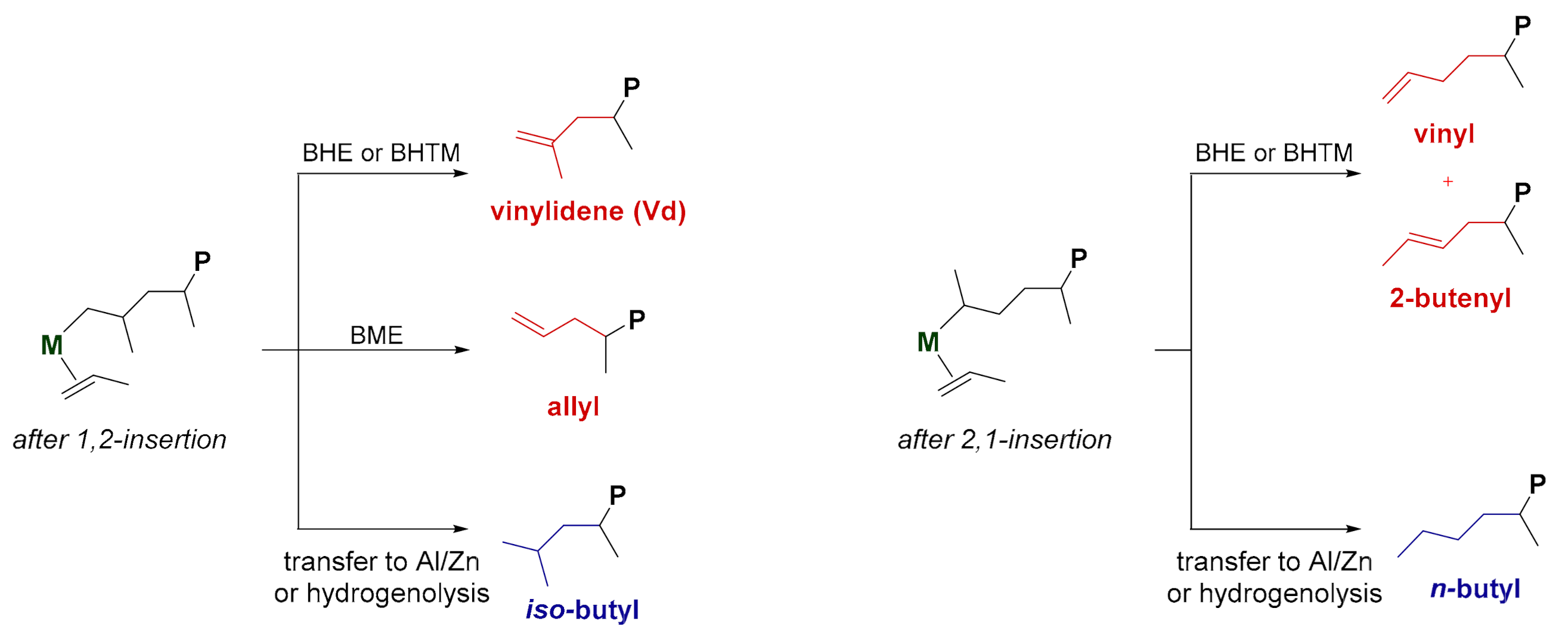 Catalysts 11 00215 sch001