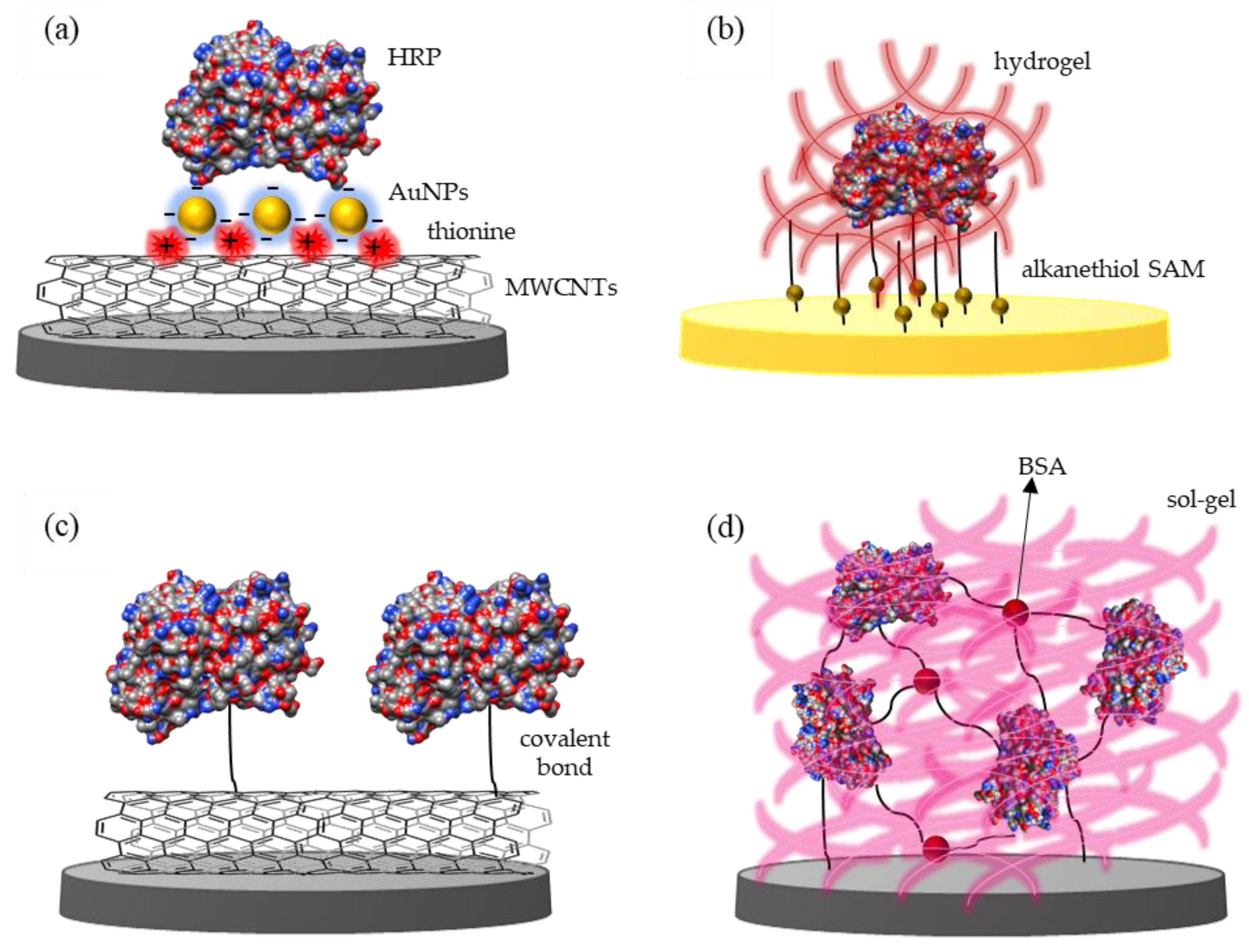 Catalysts 11 00218 g002