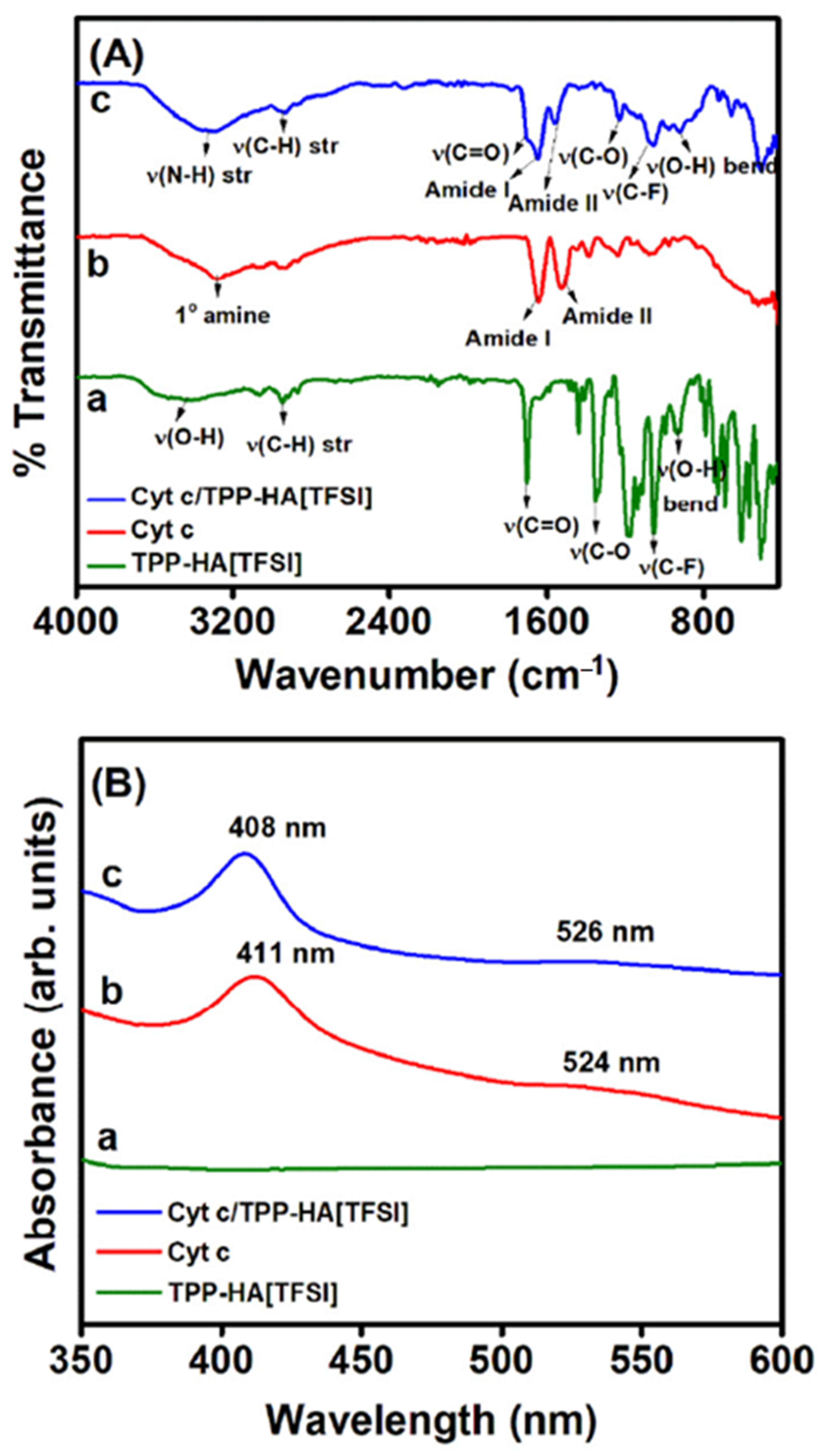 Catalysts 11 00218 g004