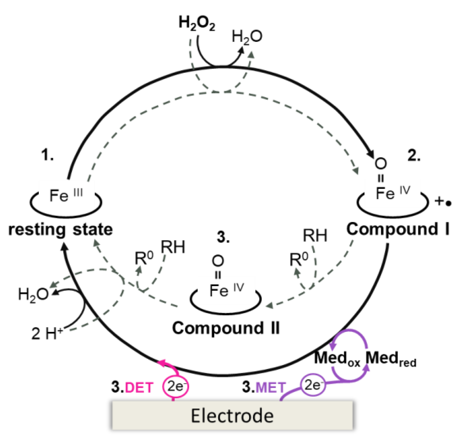 Catalysts 11 00218 g005