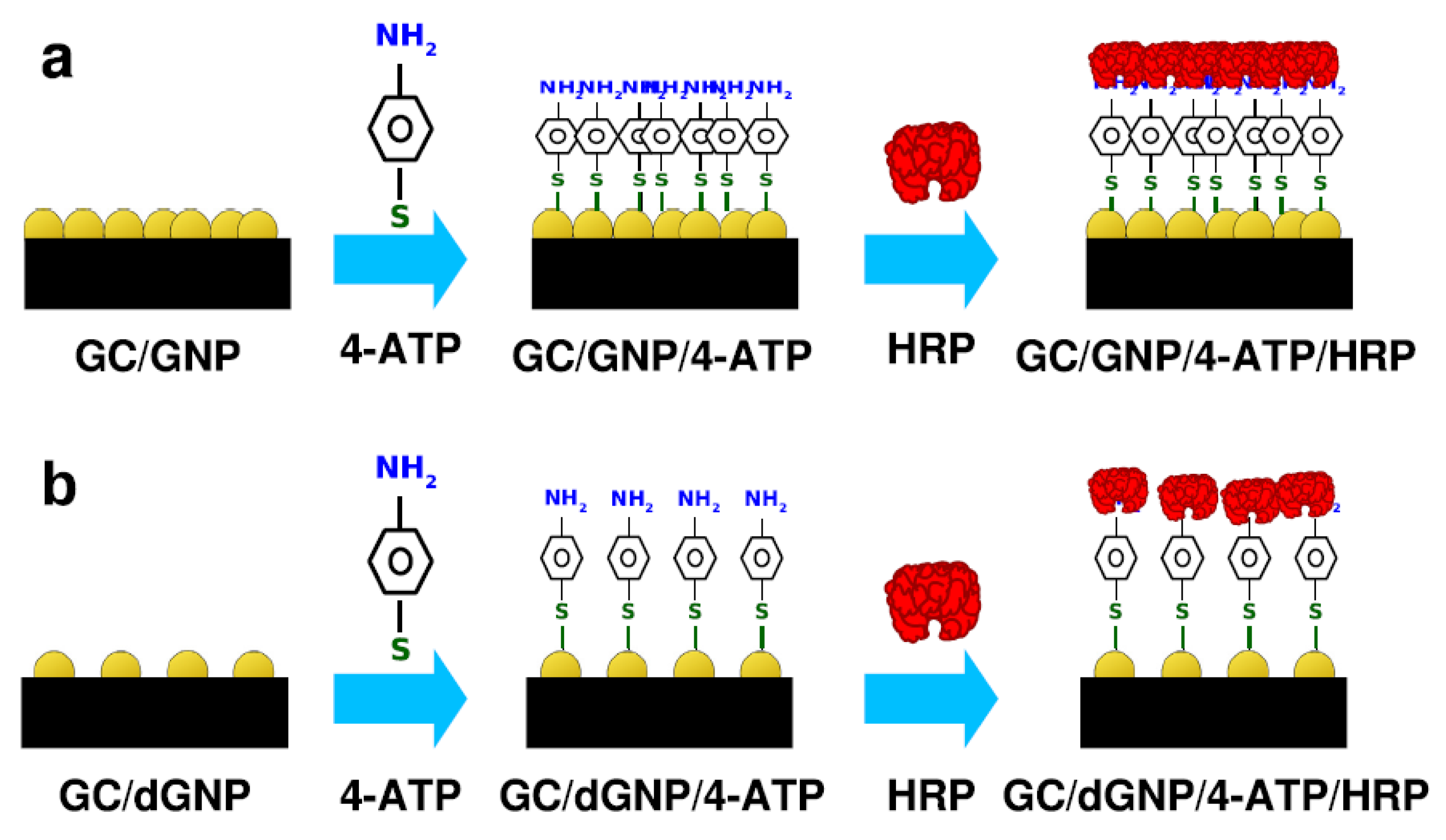 Catalysts 11 00218 g006