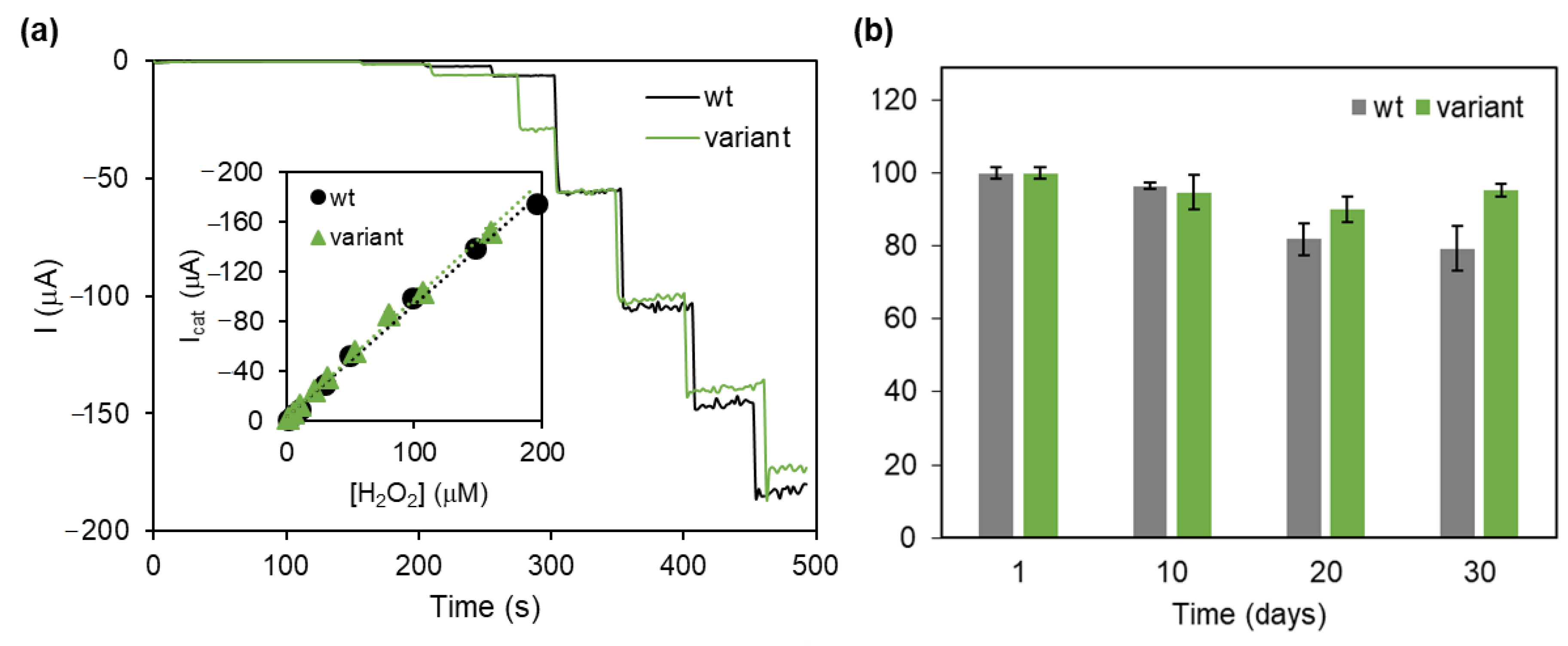 Catalysts 11 00218 g007