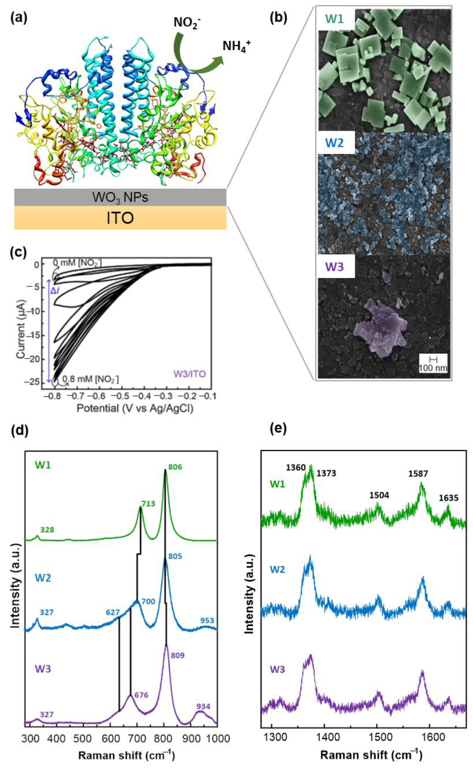 Catalysts 11 00218 g009