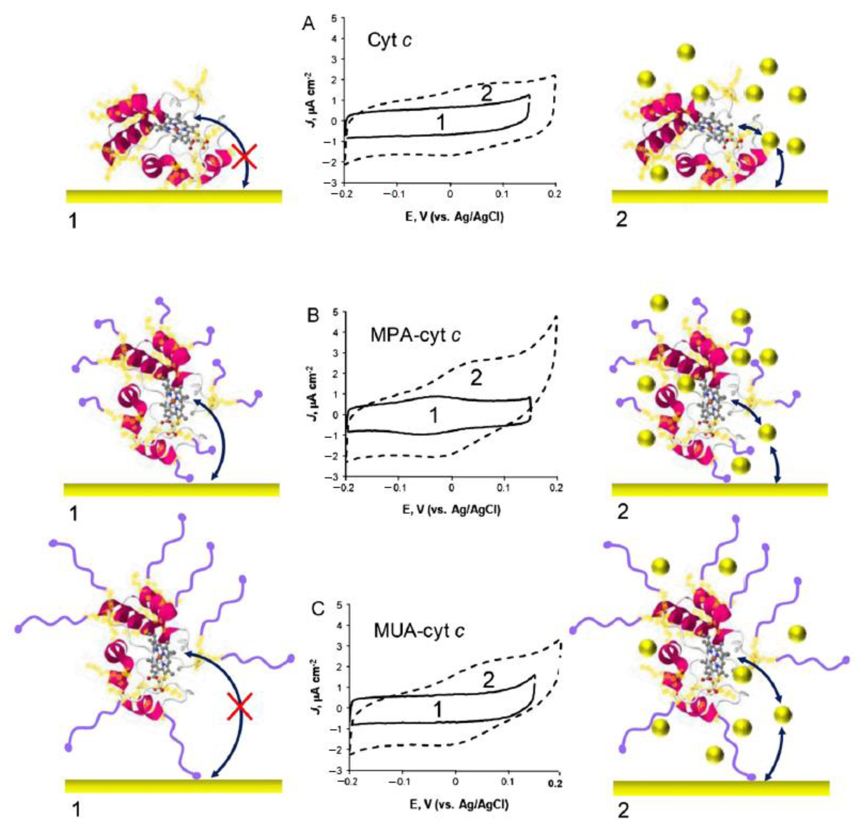 Catalysts 11 00218 g010