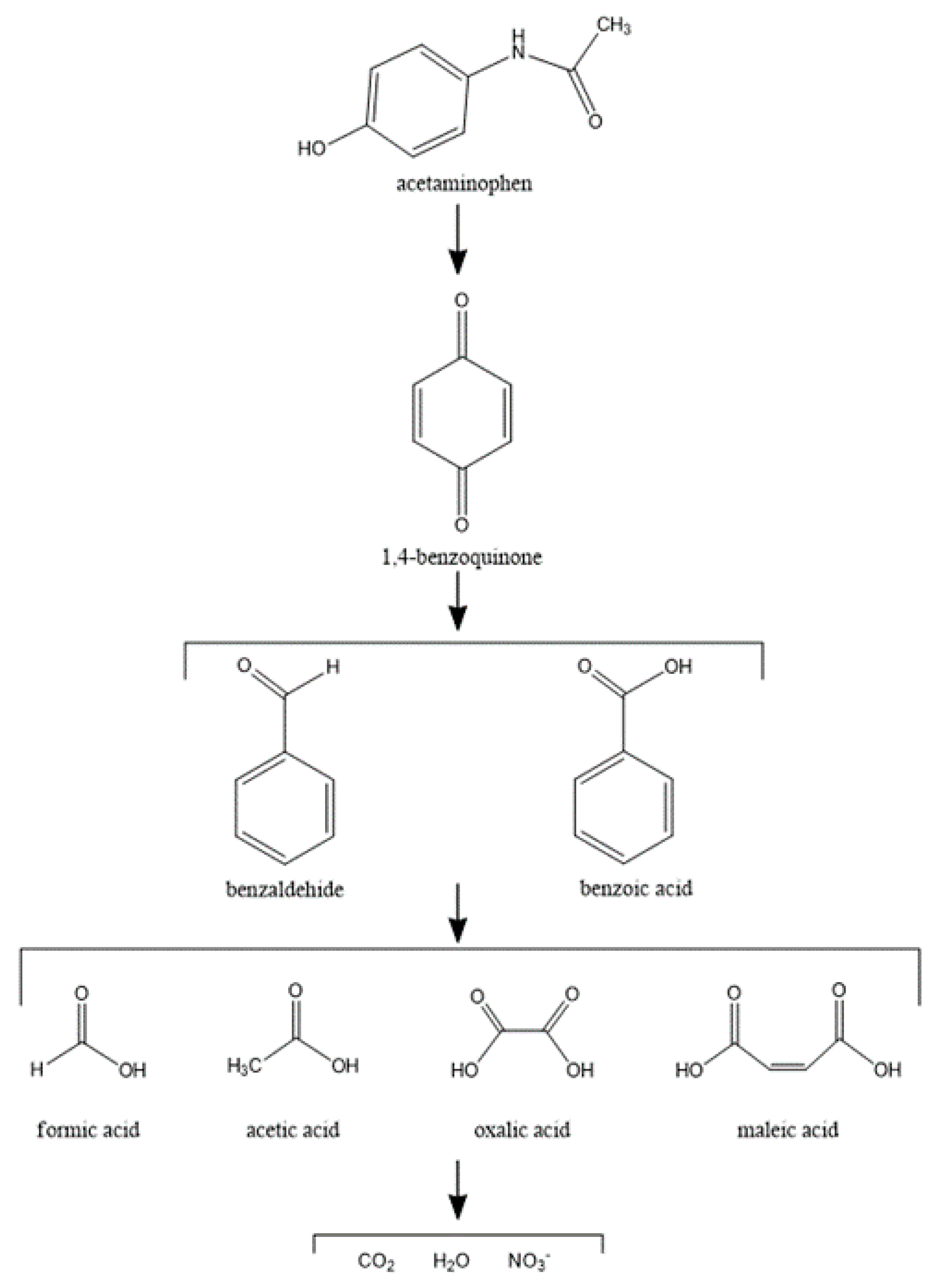 Catalysts 11 00219 g008