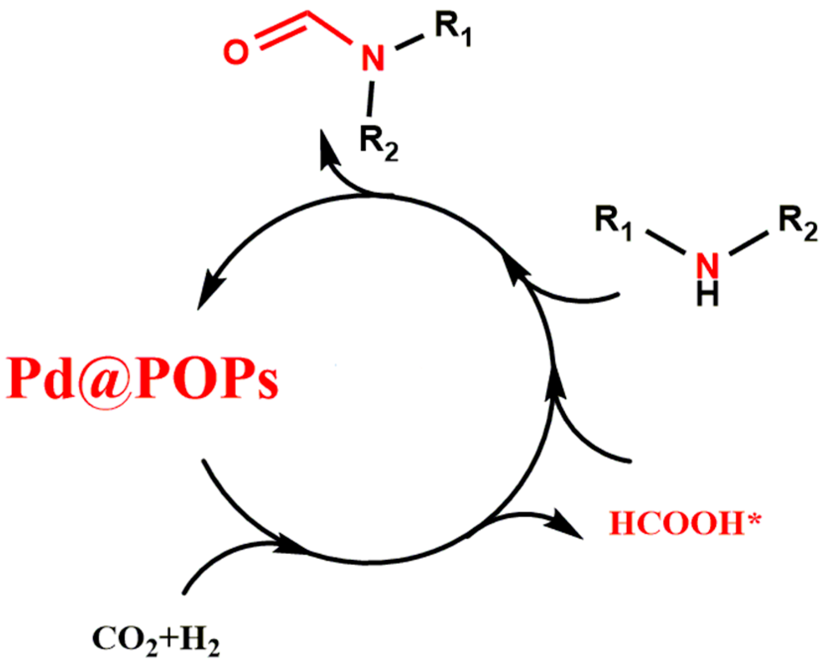 Catalysts 11 00220 g005