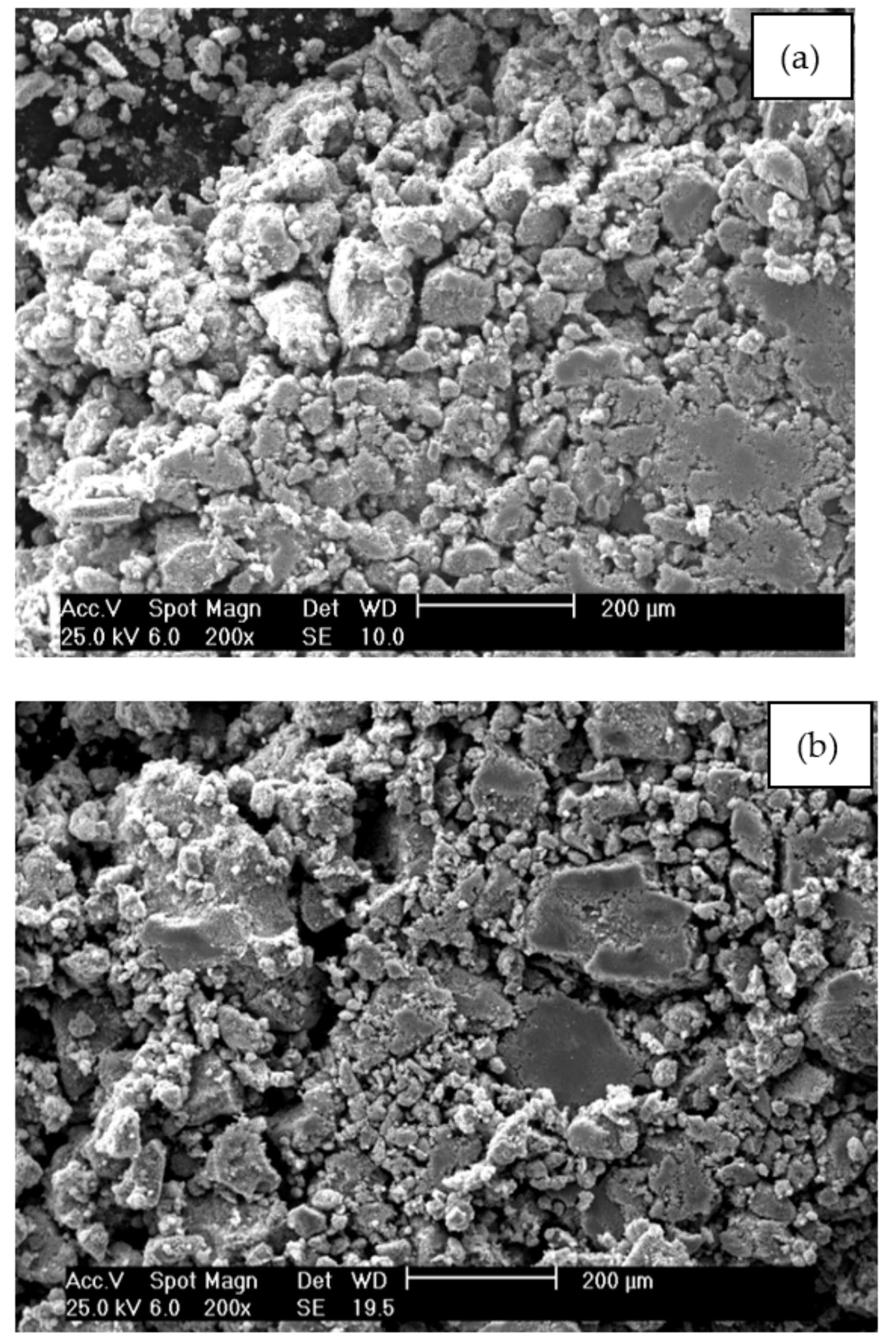 Catalysts 11 00234 g005 Catalysts 11 00234 g005