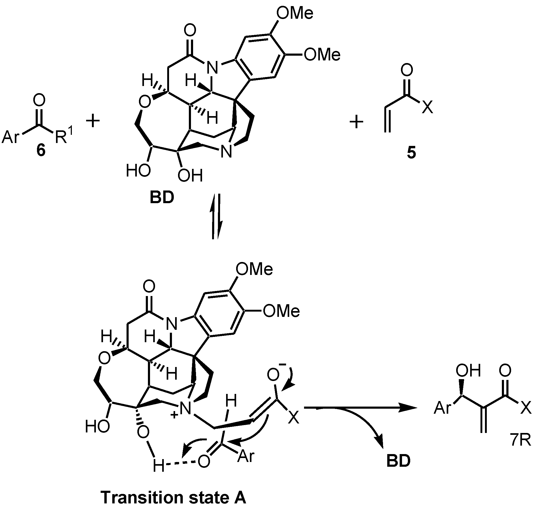 Catalysts 11 00237 sch003