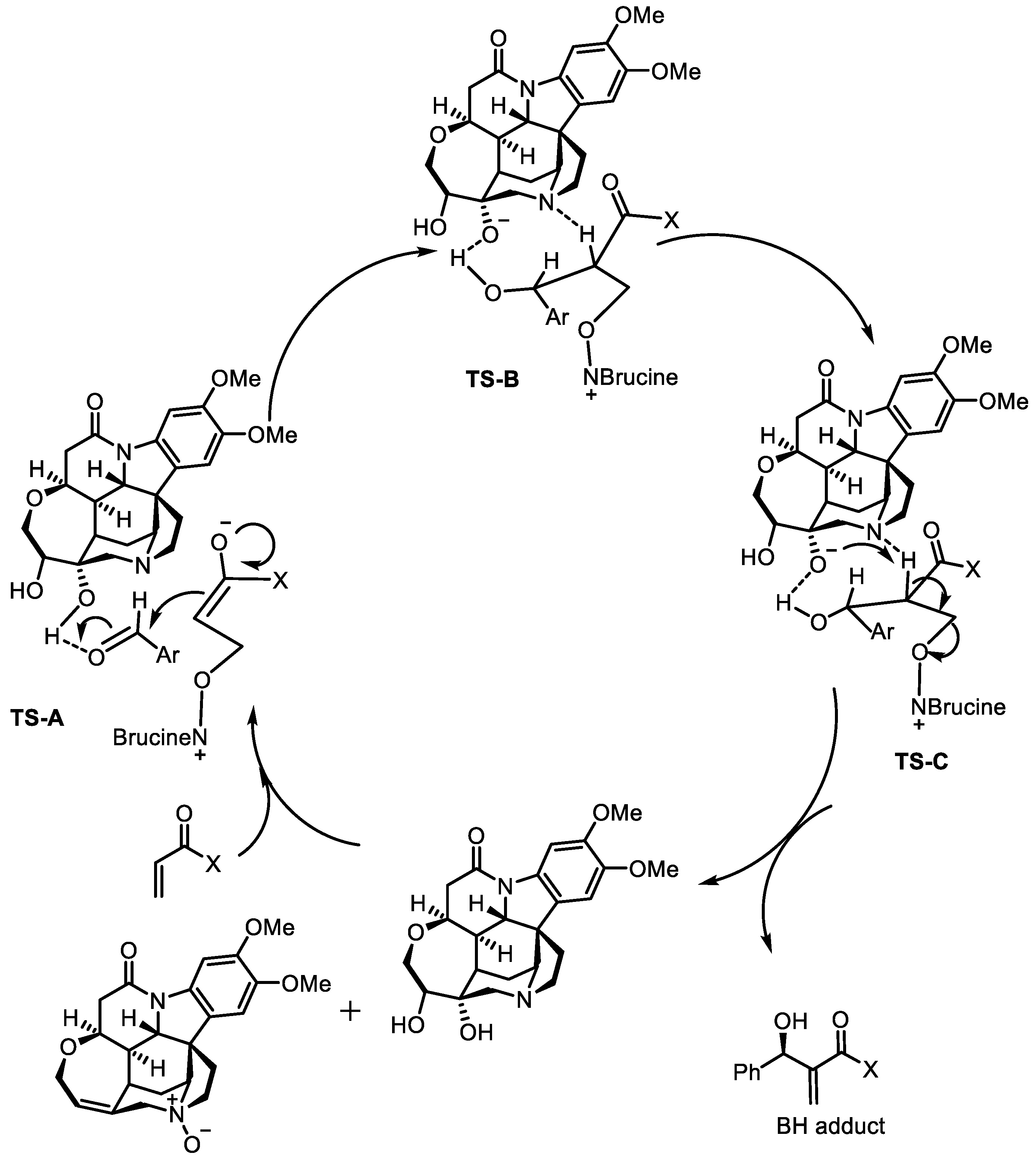 Catalysts 11 00237 sch004