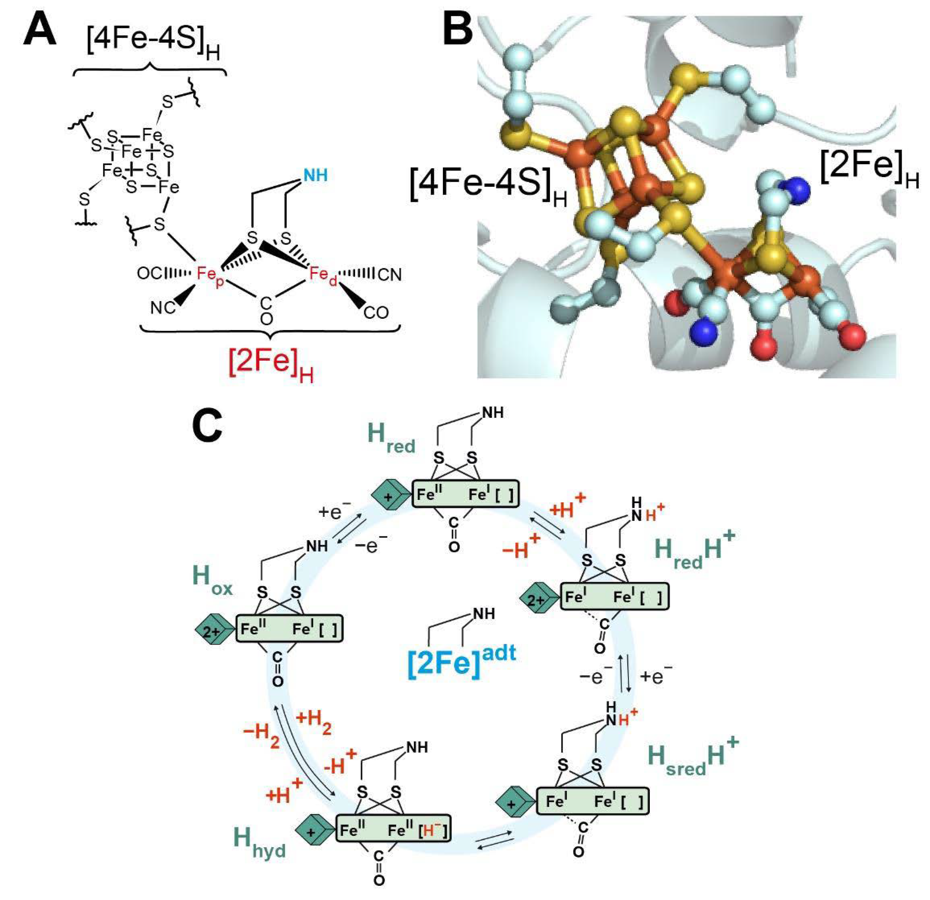 Catalysts 11 00238 g001