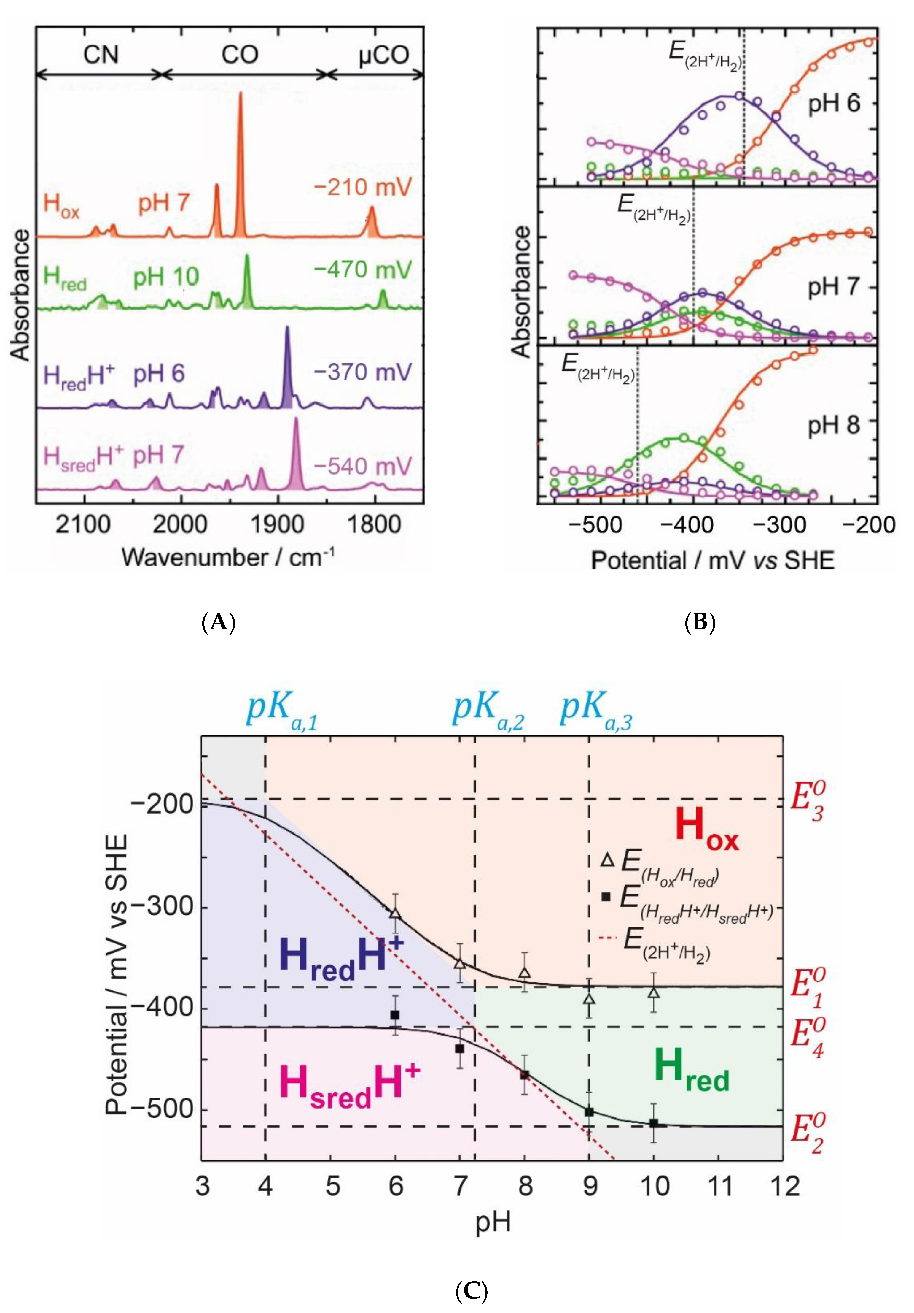 Catalysts 11 00238 g010