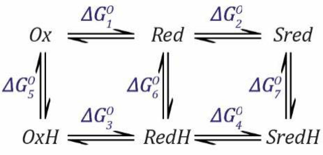 Catalysts 11 00238 sch004