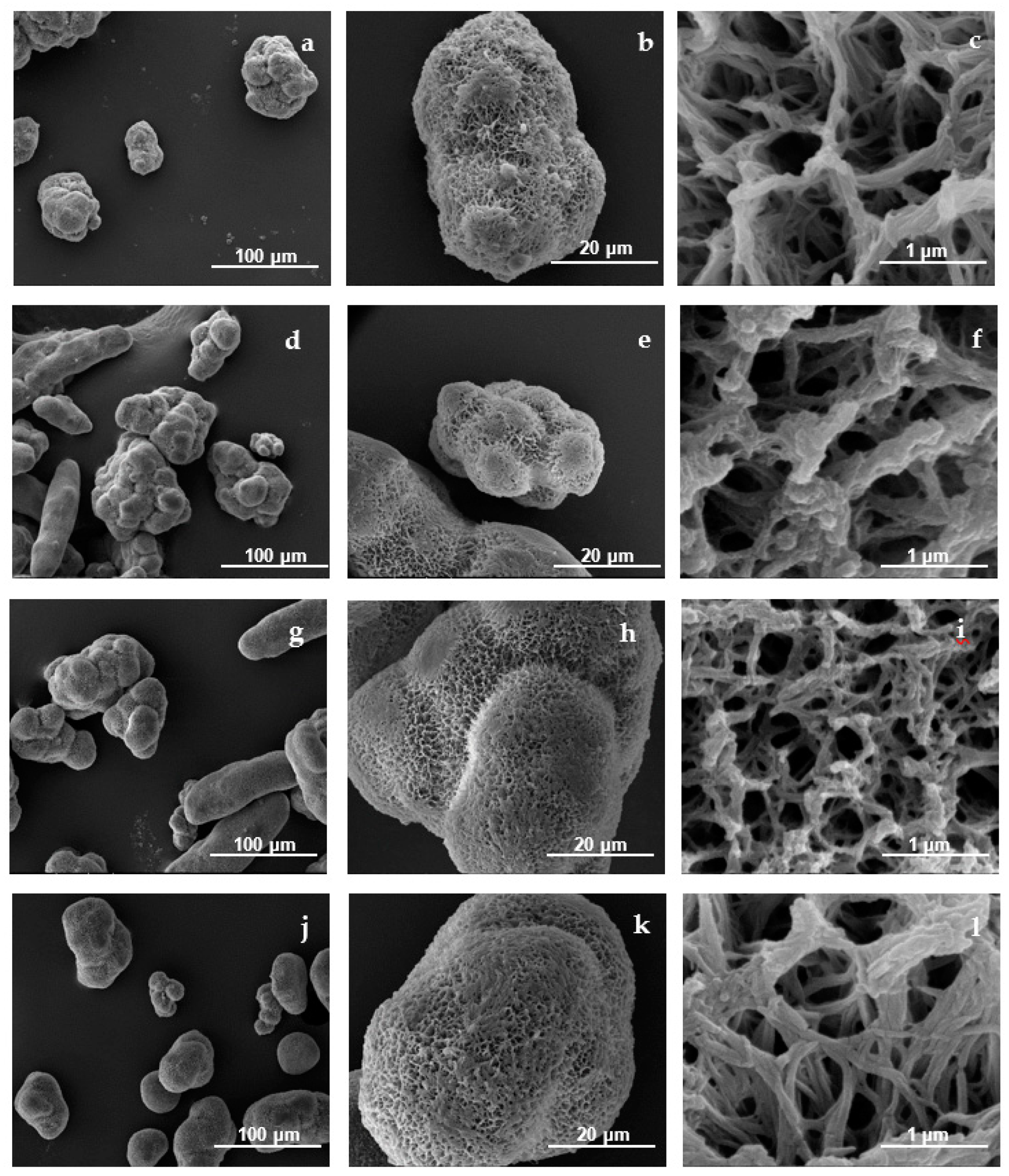 Catalysts 11 00239 g002 Catalysts 11 00239 g002
