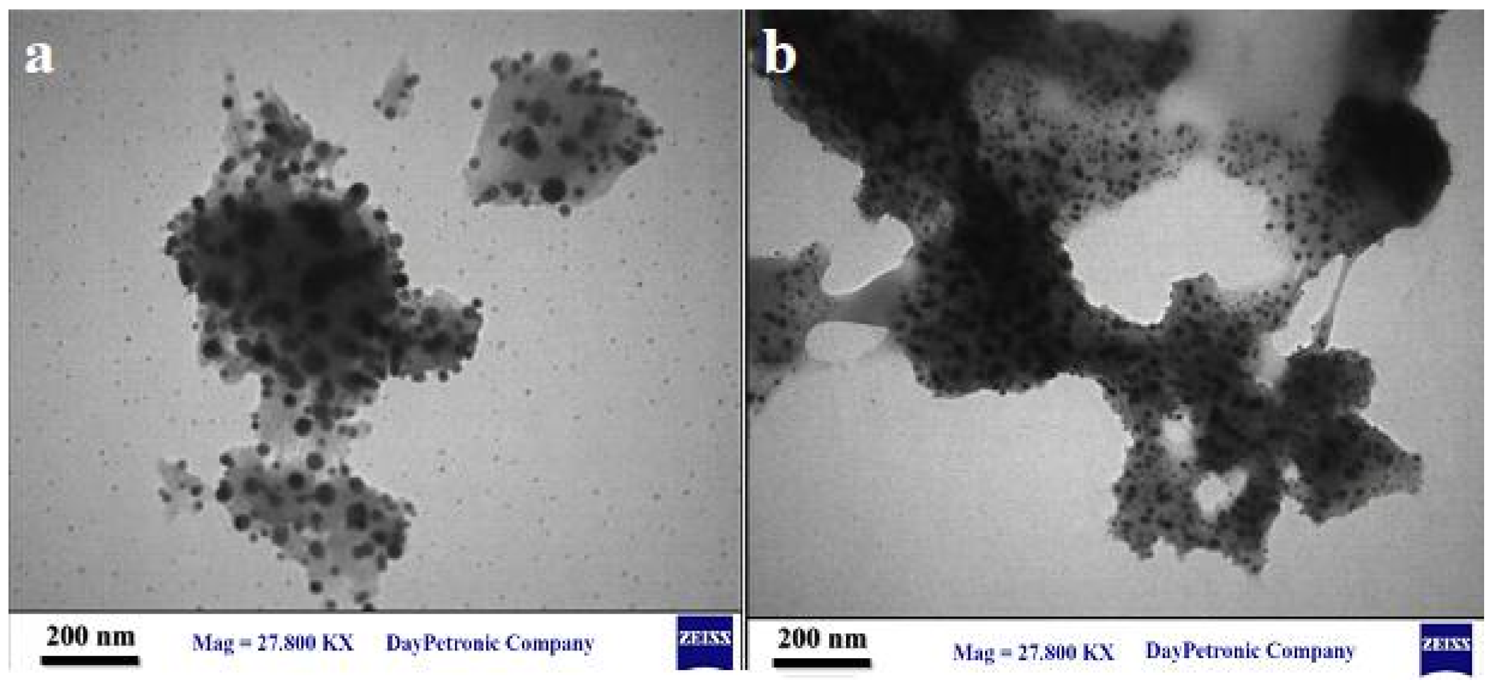 Catalysts 11 00241 g003