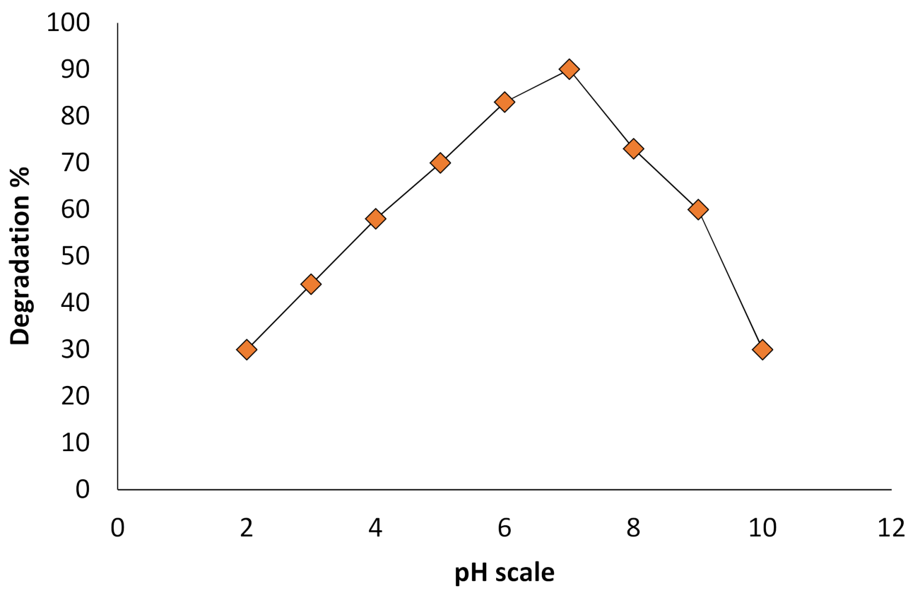 Catalysts 11 00241 g008