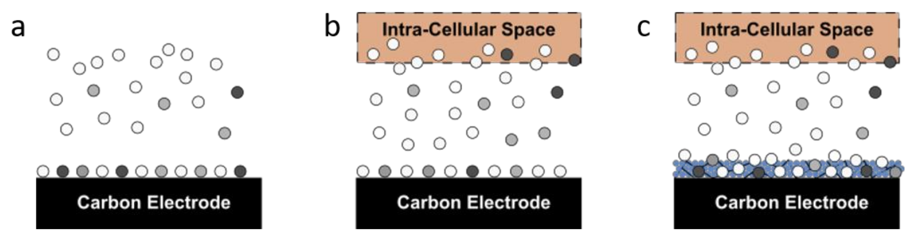 Catalysts 11 00242 g001