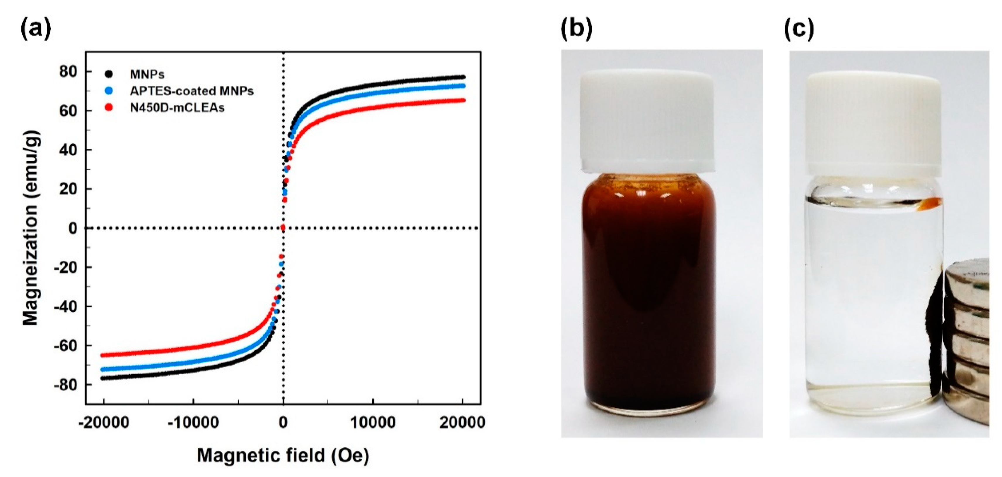 Catalysts 11 00243 g005 Catalysts 11 00243 g005